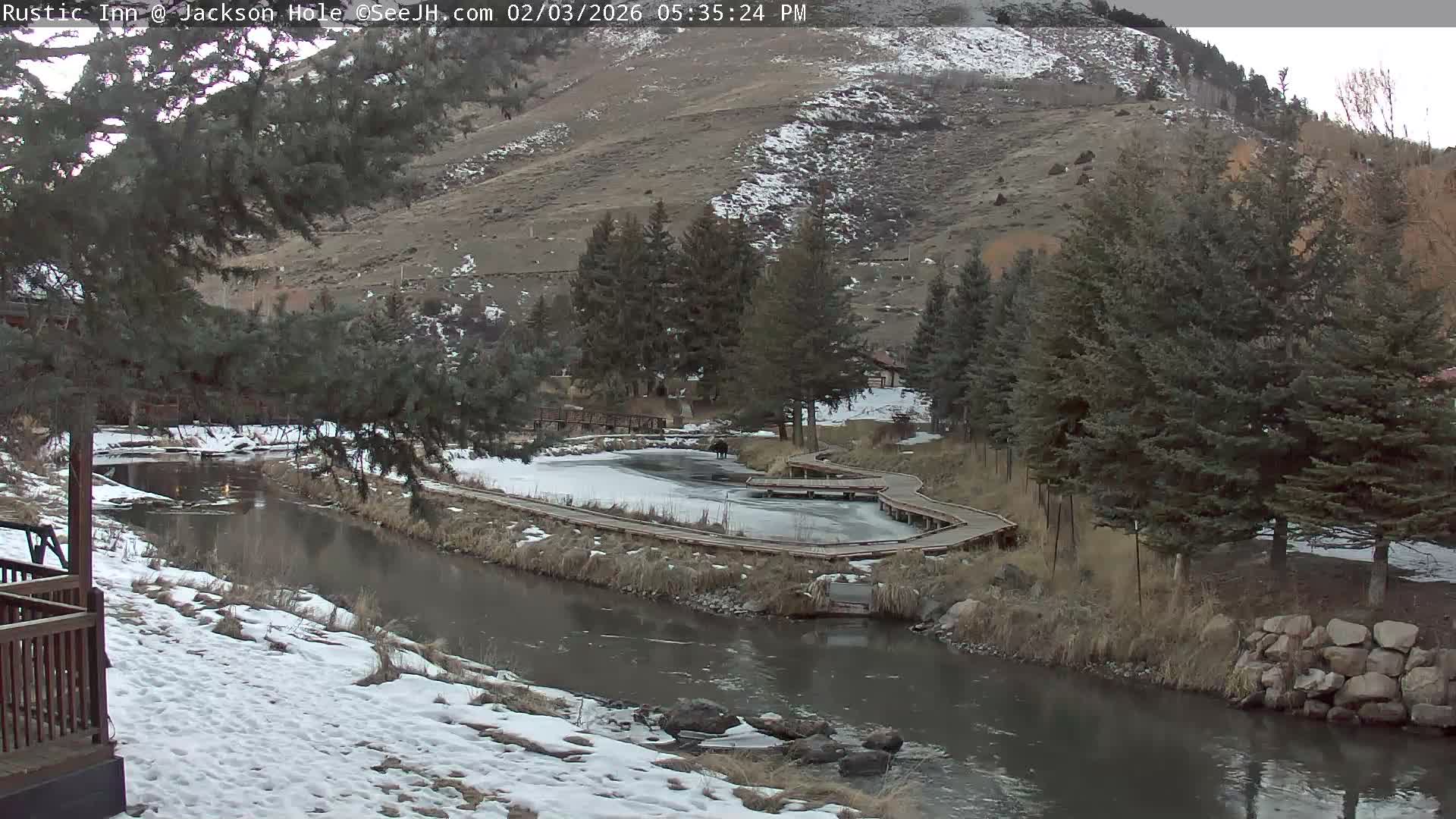 Jackson Hole, Flat Creek from Rustic Inn Resort Live Cam - Jackson, Teton, Wyoming, USA