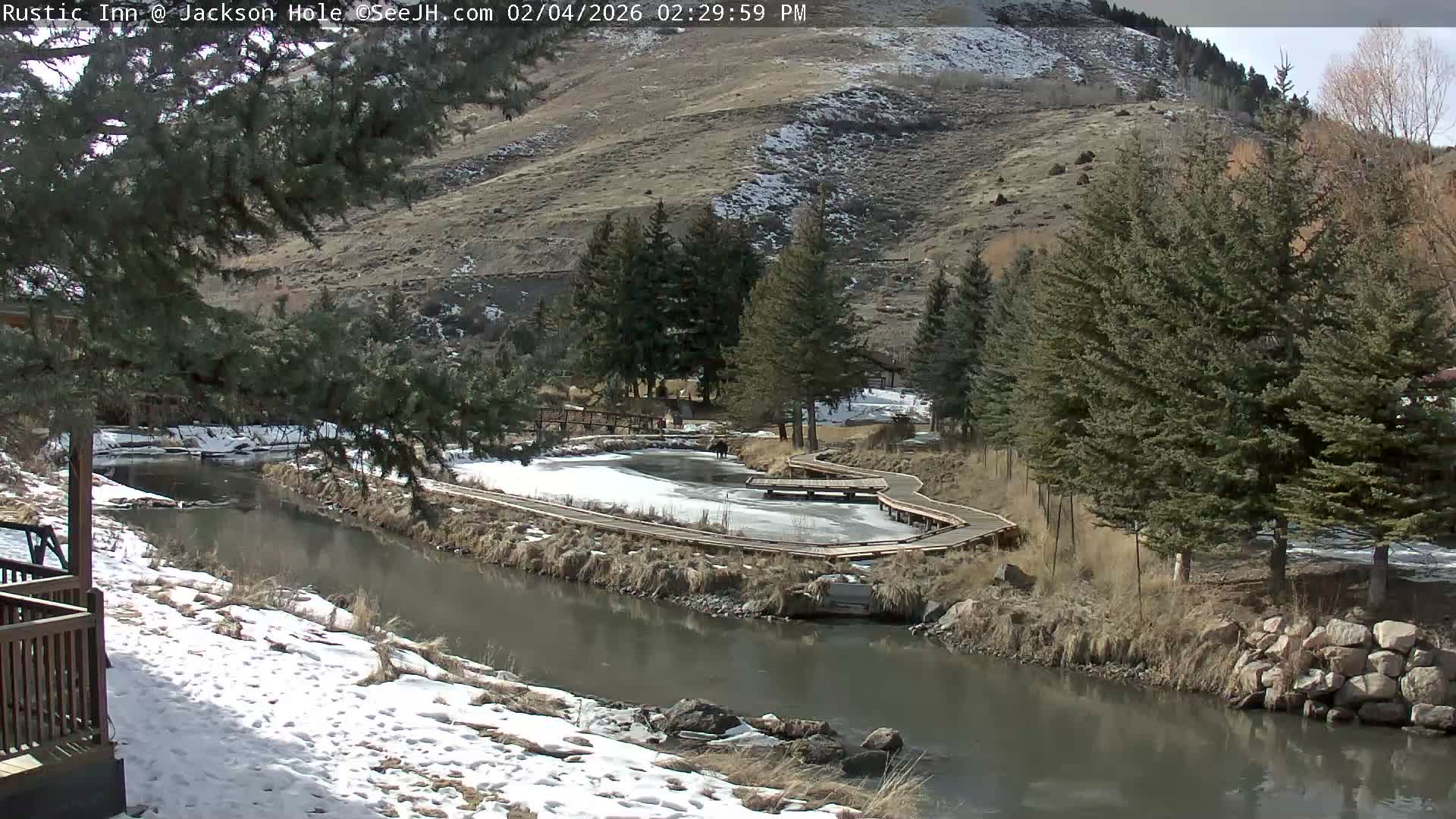 Jackson Hole, Flat Creek from Rustic Inn Resort Live Cam - Jackson, Teton, Wyoming, USA