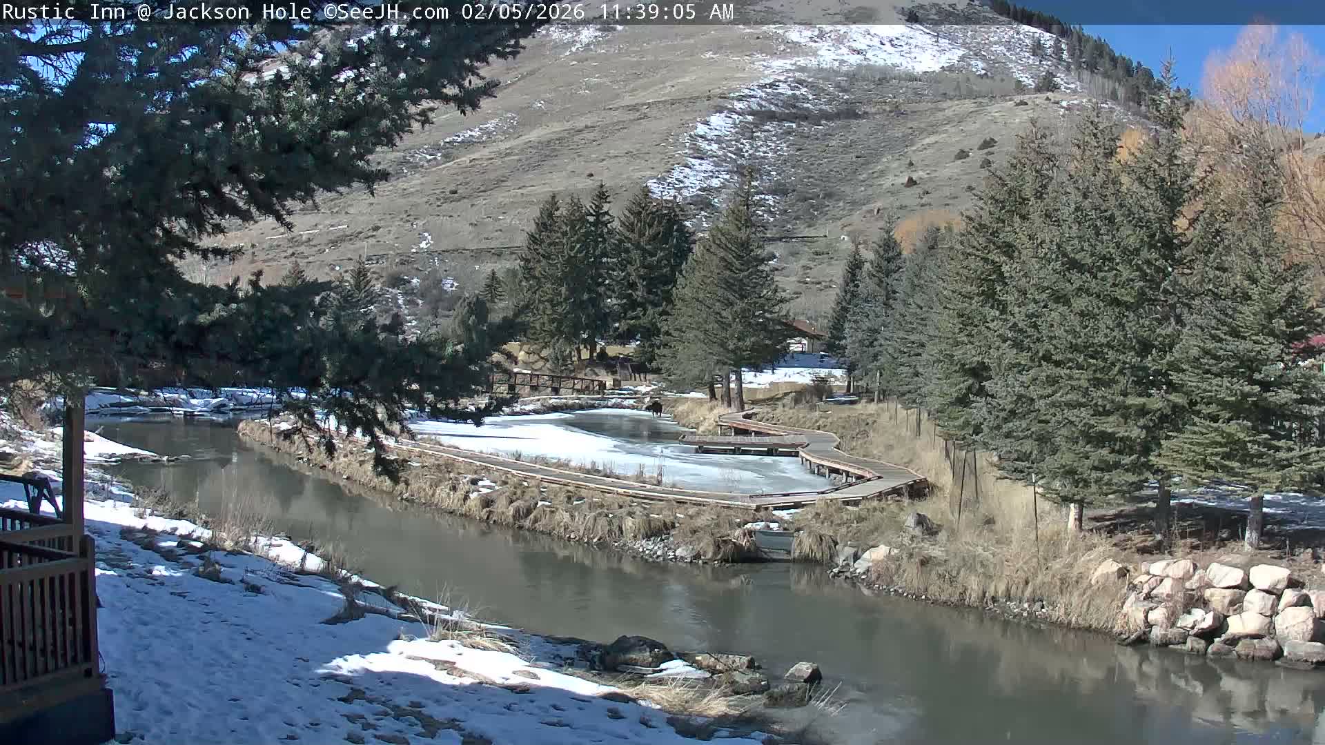 Jackson Hole, Flat Creek from Rustic Inn Resort Live Cam - Jackson, Teton, Wyoming, USA