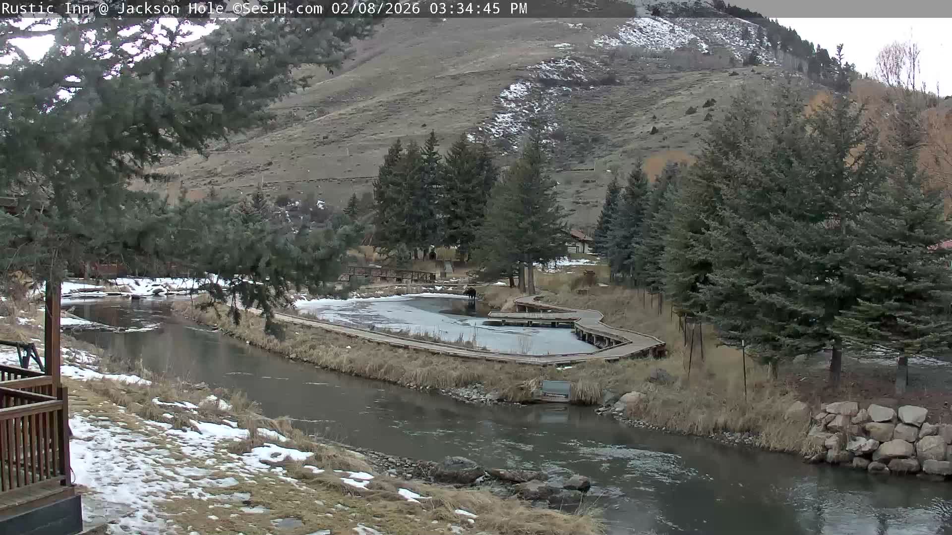 Jackson Hole, Flat Creek from Rustic Inn Resort Live Cam - Jackson, Teton, Wyoming, USA