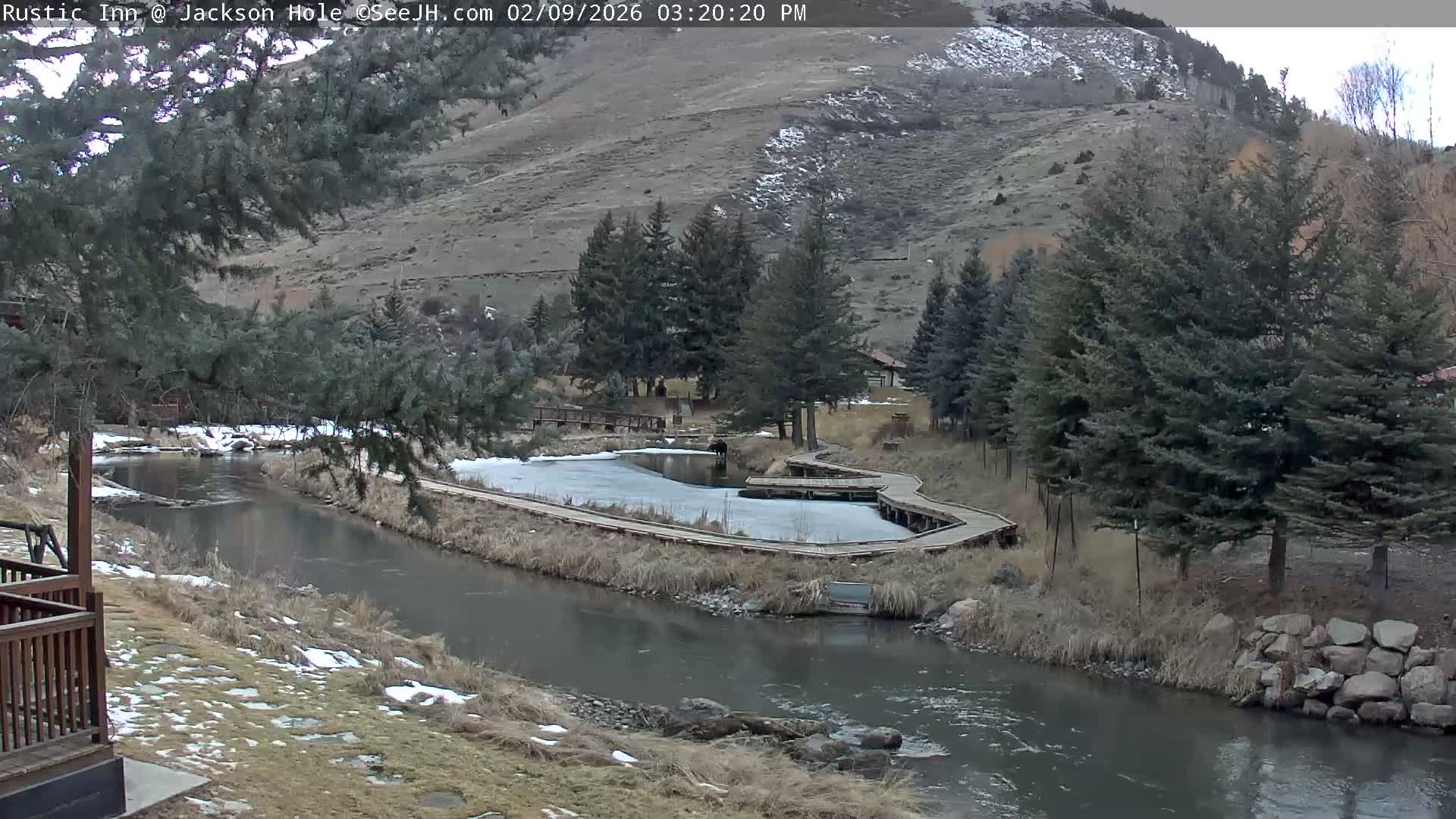 Jackson Hole, Flat Creek from Rustic Inn Resort Live Cam - Jackson, Teton, Wyoming, USA