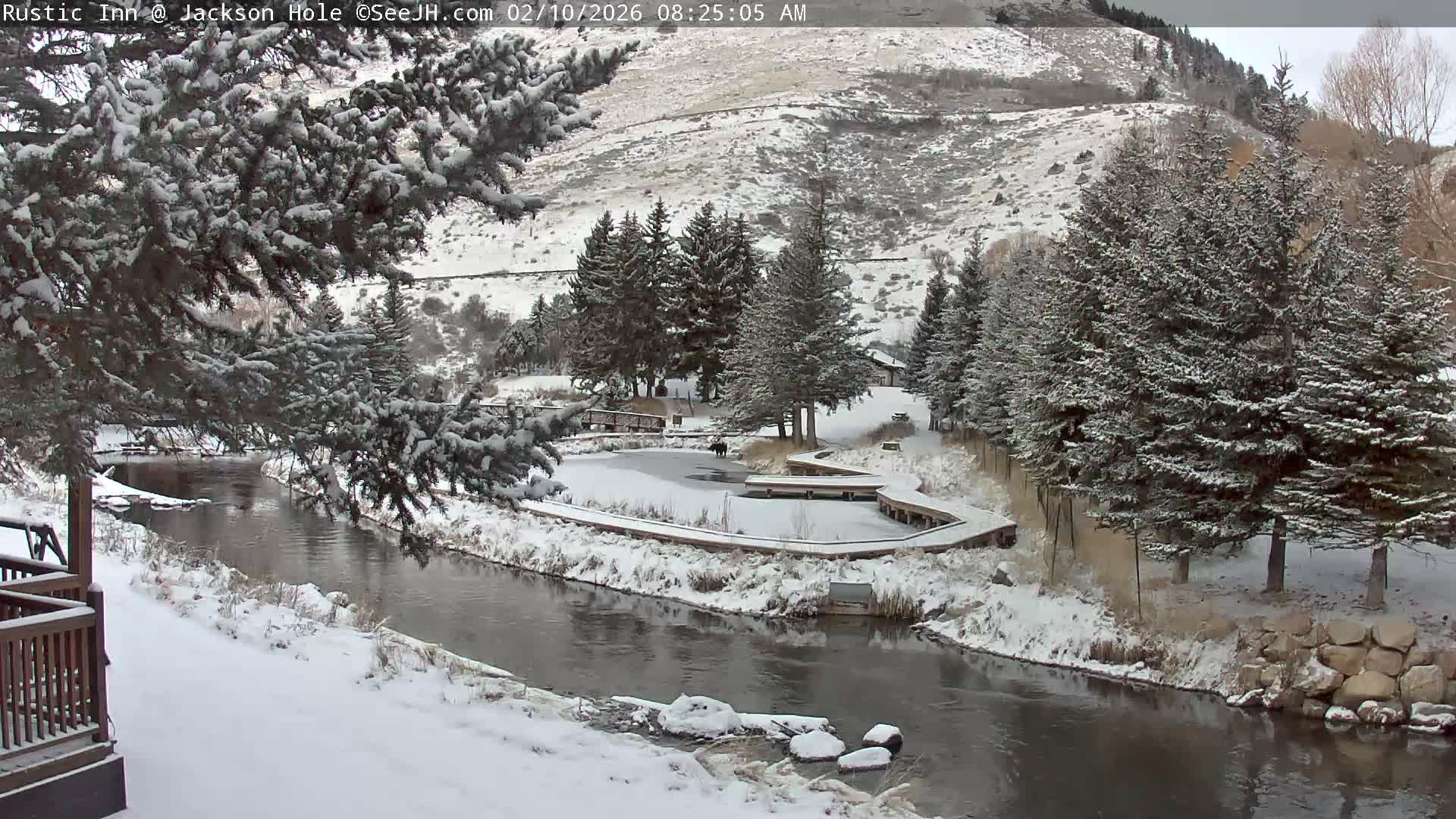Jackson Hole, Flat Creek from Rustic Inn Resort Live Cam - Jackson, Teton, Wyoming, USA