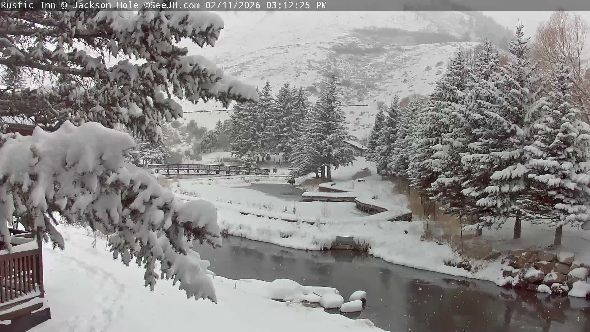 Jackson Hole, Flat Creek from Rustic Inn Resort Live Cam - Jackson, Teton, Wyoming, USA