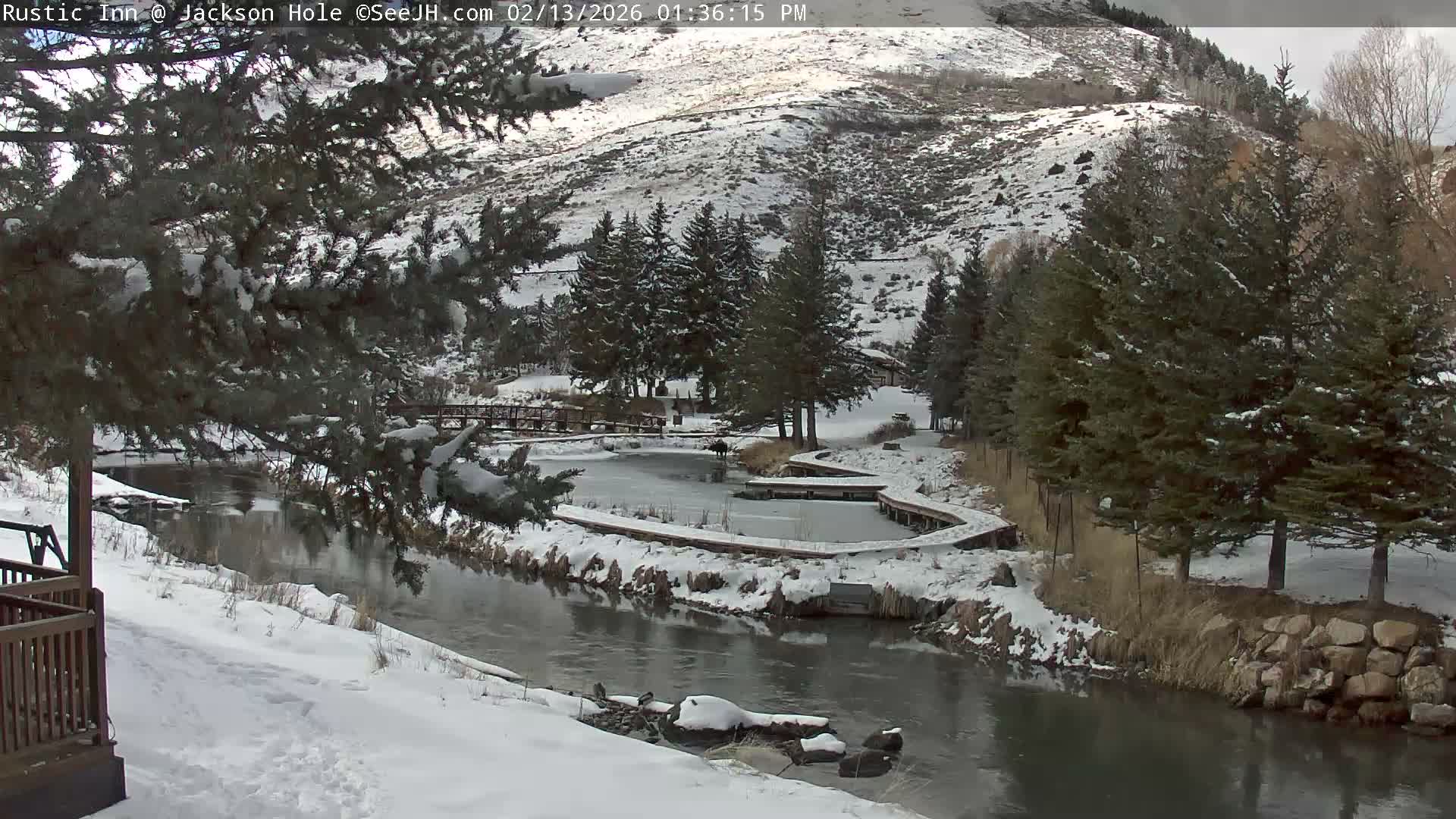 Jackson Hole, Flat Creek from Rustic Inn Resort Live Cam - Jackson, Teton, Wyoming, USA