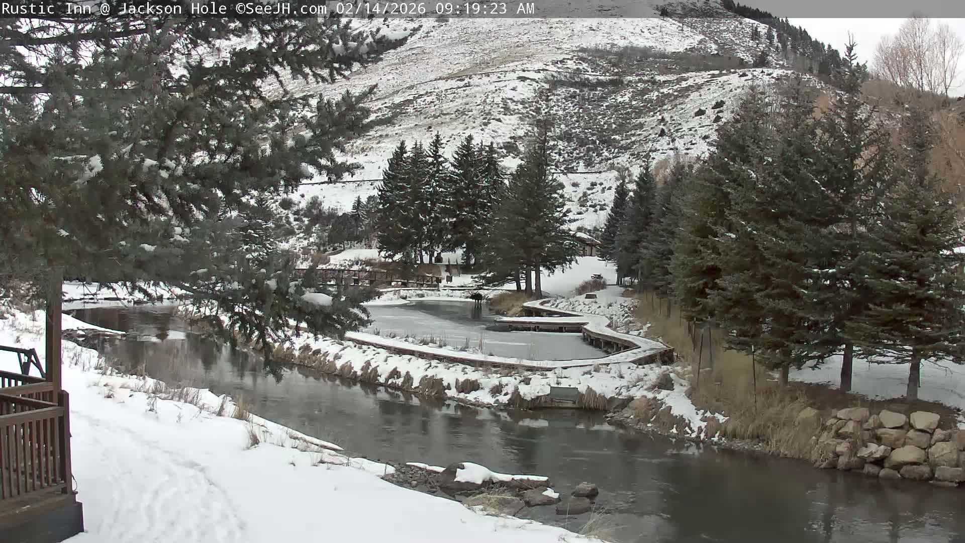 Jackson Hole, Flat Creek from Rustic Inn Resort Live Cam - Jackson, Teton, Wyoming, USA