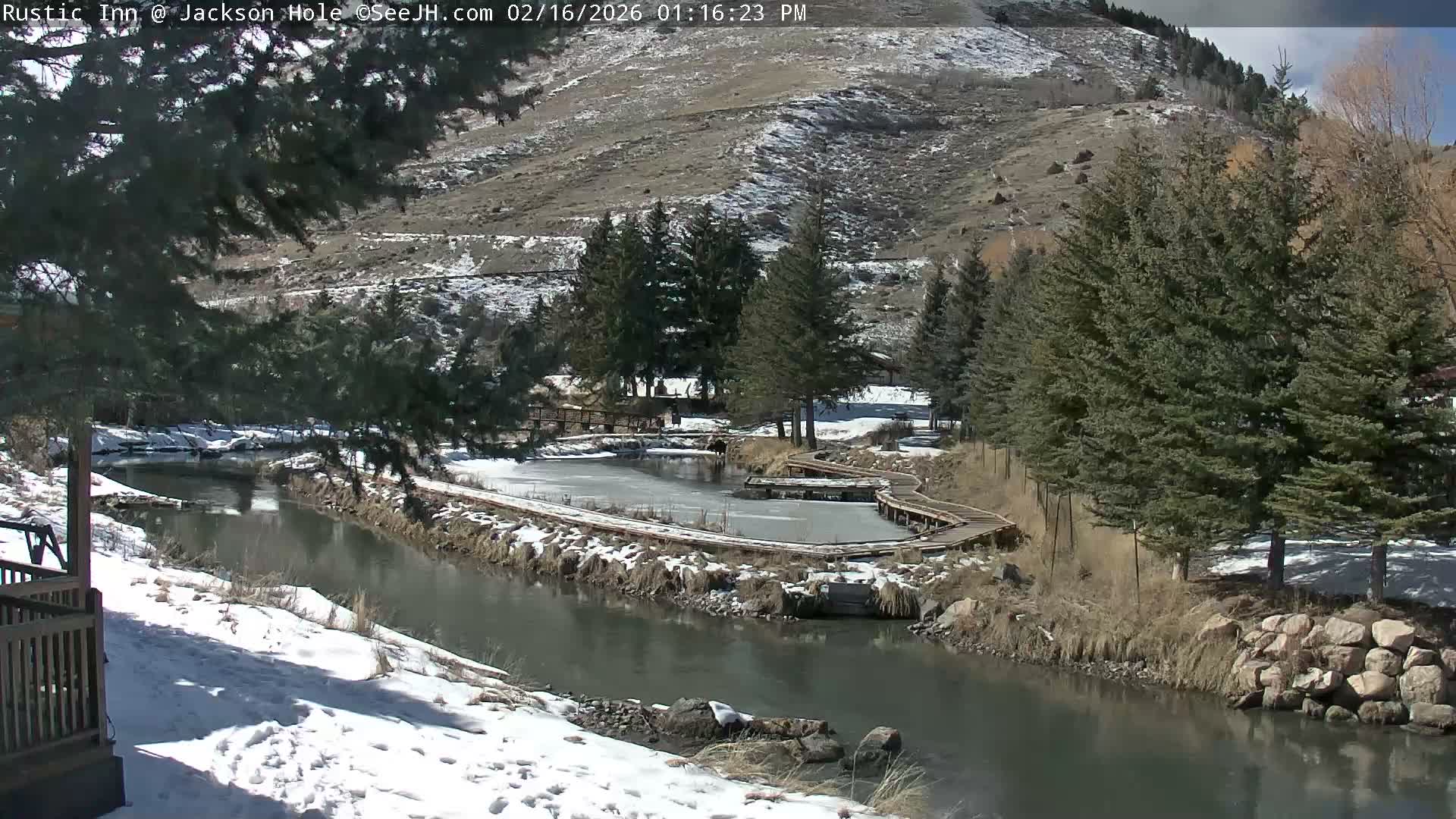 Jackson Hole, Flat Creek from Rustic Inn Resort Live Cam - Jackson, Teton, Wyoming, USA