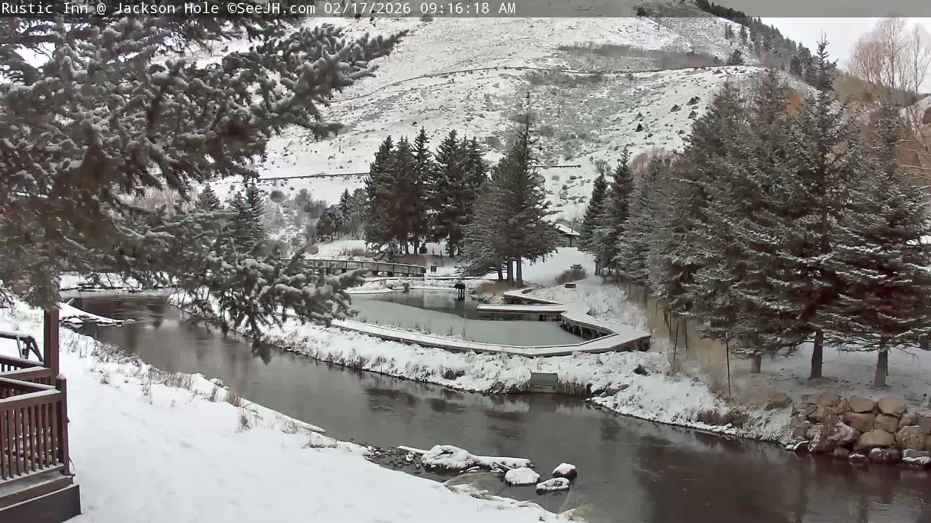 Jackson Hole, Flat Creek from Rustic Inn Resort Live Cam - Jackson, Teton, Wyoming, USA
