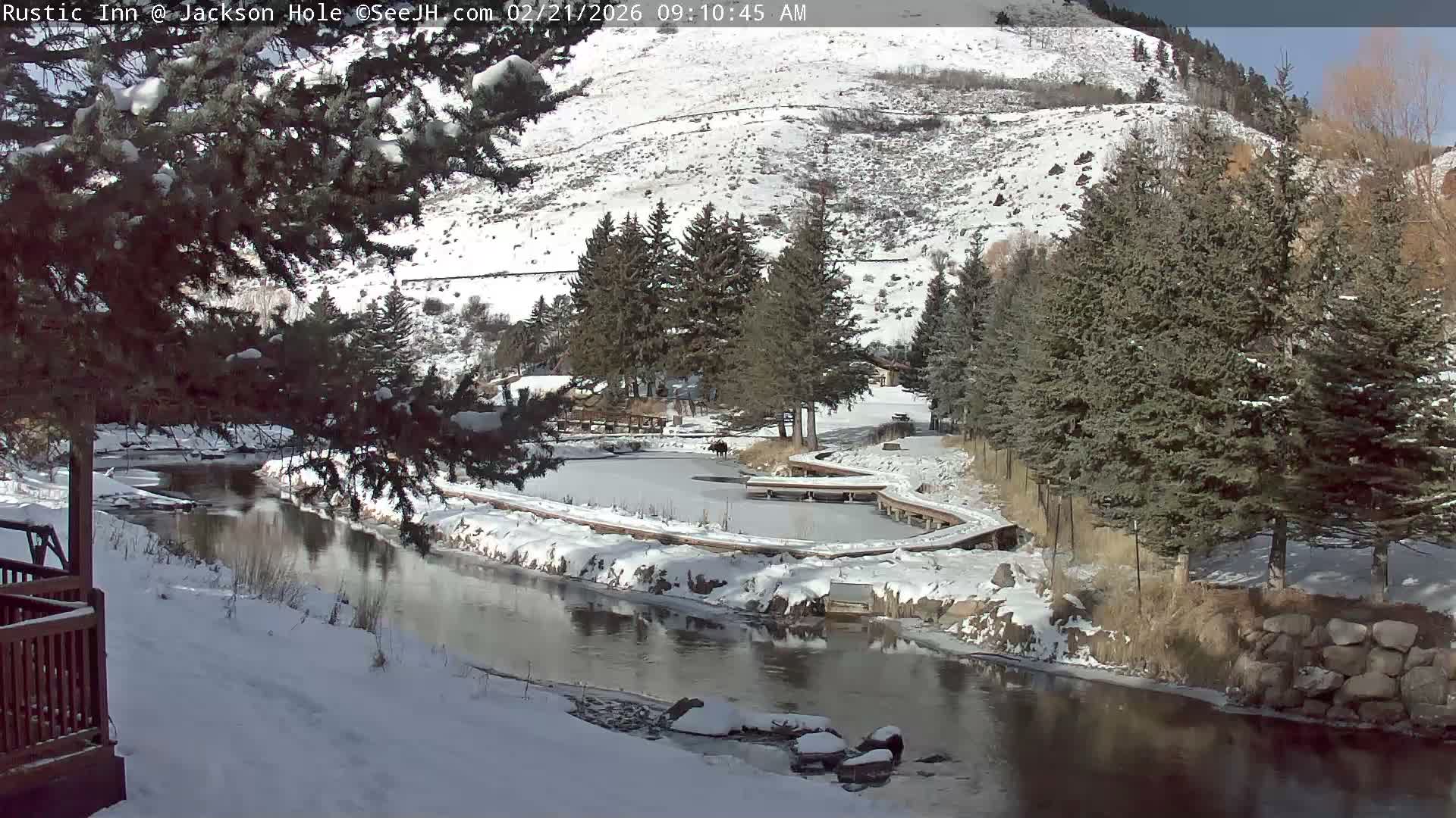Jackson Hole, Flat Creek from Rustic Inn Resort Live Cam - Jackson, Teton, Wyoming, USA