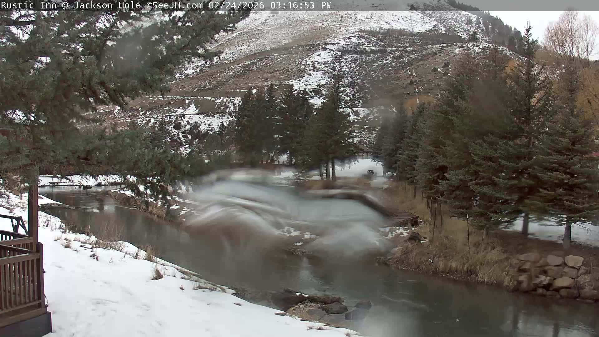Jackson Hole, Flat Creek from Rustic Inn Resort Live Cam - Jackson, Teton, Wyoming, USA