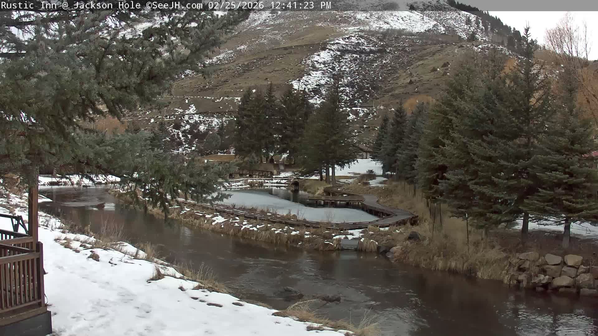 Jackson Hole, Flat Creek from Rustic Inn Resort Live Cam - Jackson, Teton, Wyoming, USA