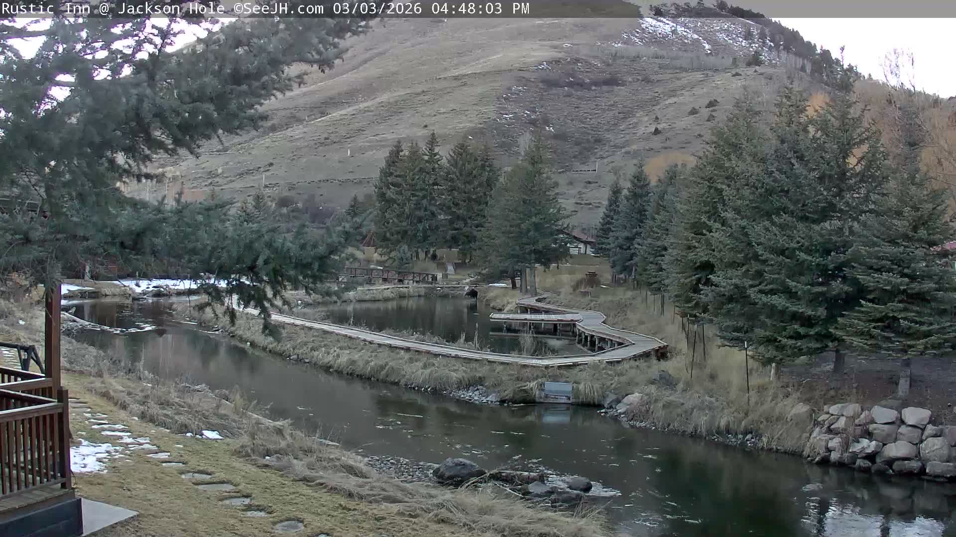 Jackson Hole, Flat Creek from Rustic Inn Resort Live Cam - Jackson, Teton, Wyoming, USA