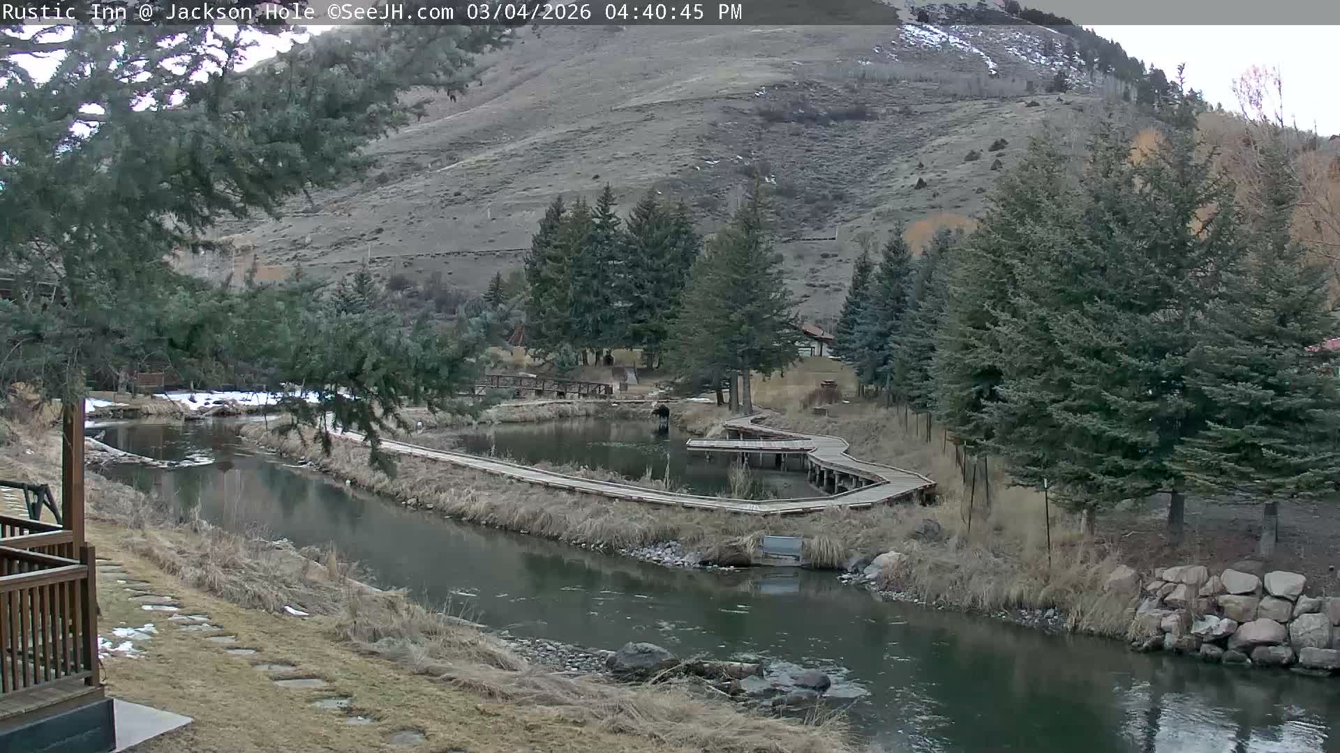 Jackson Hole, Flat Creek from Rustic Inn Resort Live Cam - Jackson, Teton, Wyoming, USA