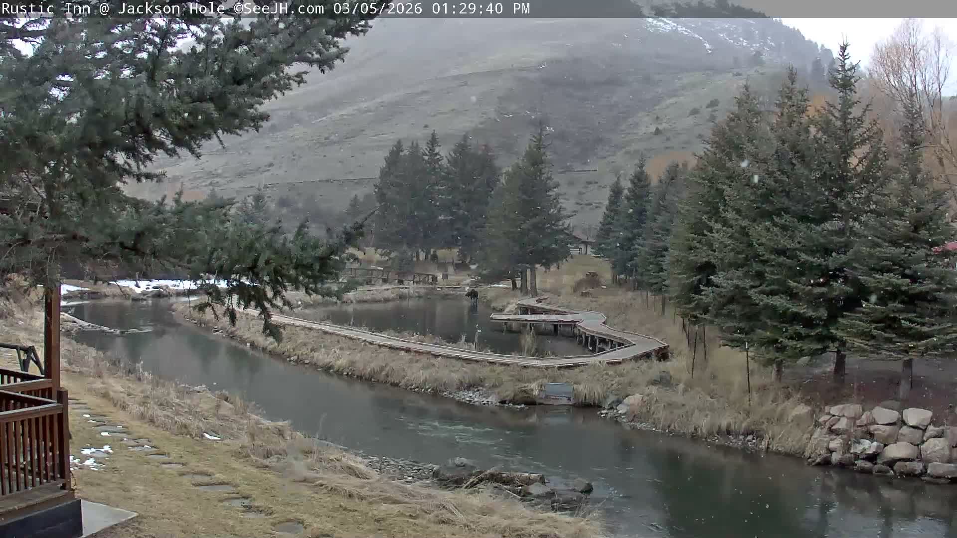 Jackson Hole, Flat Creek from Rustic Inn Resort Live Cam - Jackson, Teton, Wyoming, USA