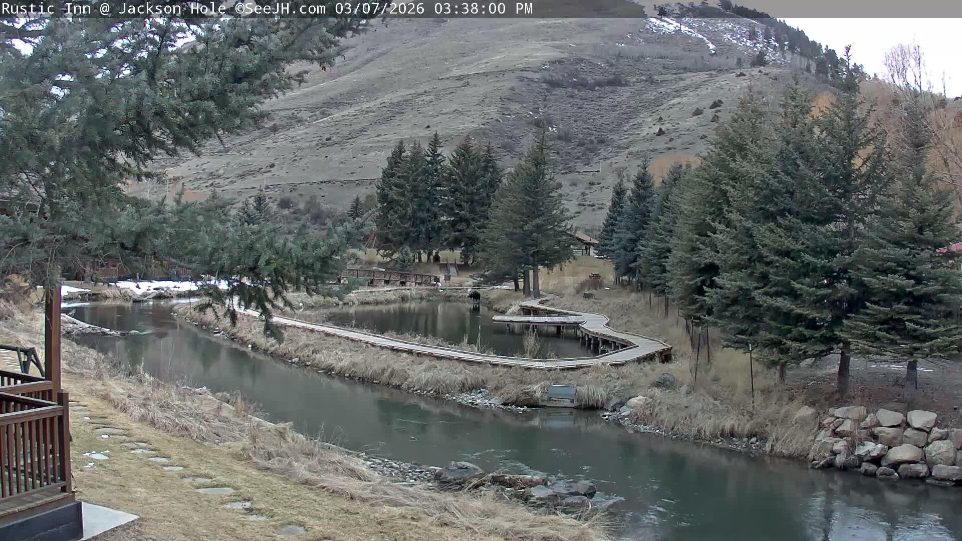 Jackson Hole, Flat Creek from Rustic Inn Resort Live Cam - Jackson, Teton, Wyoming, USA