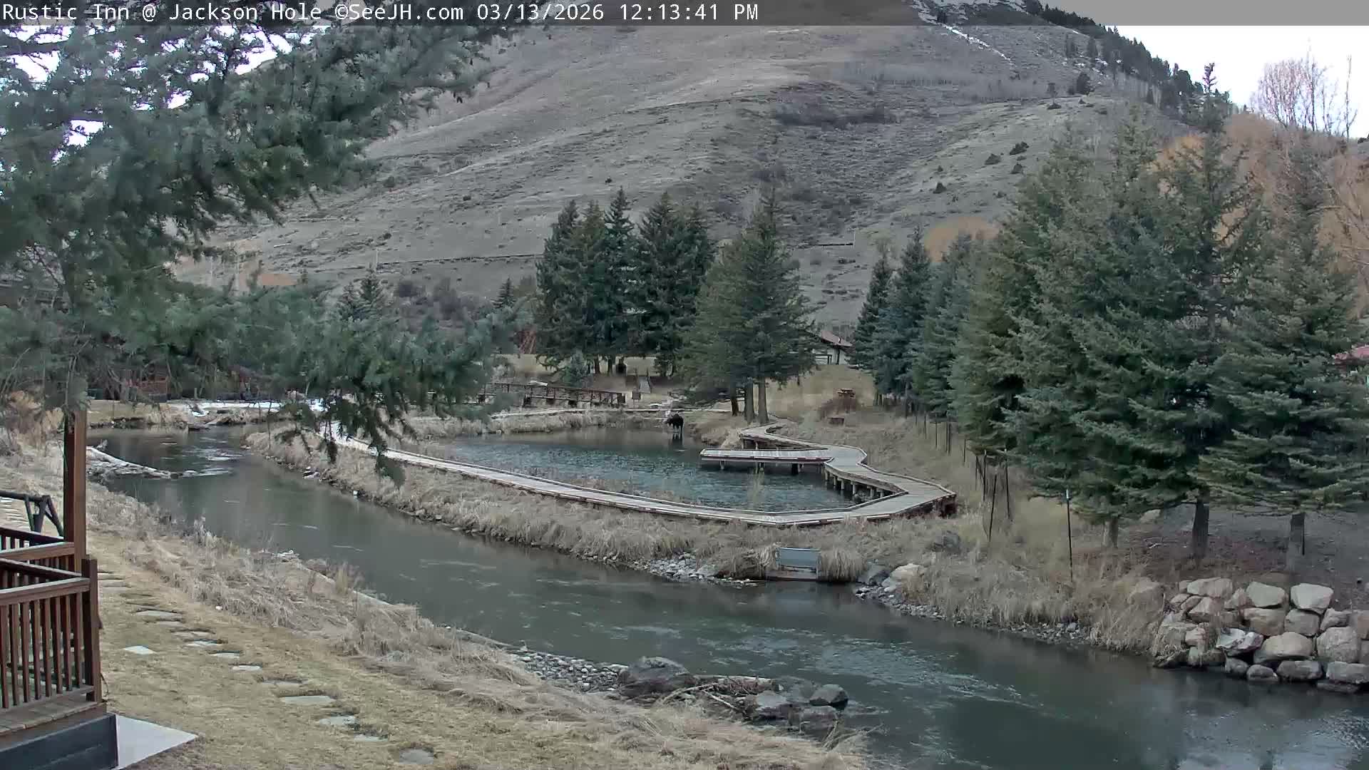 Jackson Hole, Flat Creek from Rustic Inn Resort Live Cam - Jackson, Teton, Wyoming, USA