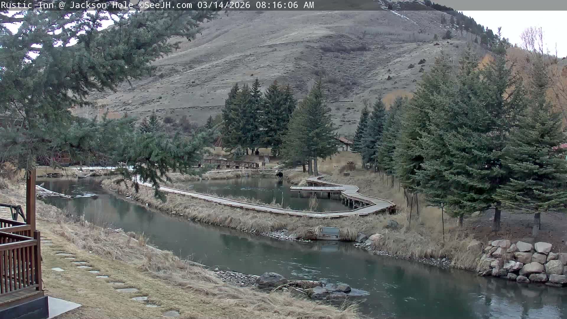 Jackson Hole, Flat Creek from Rustic Inn Resort Live Cam - Jackson, Teton, Wyoming, USA