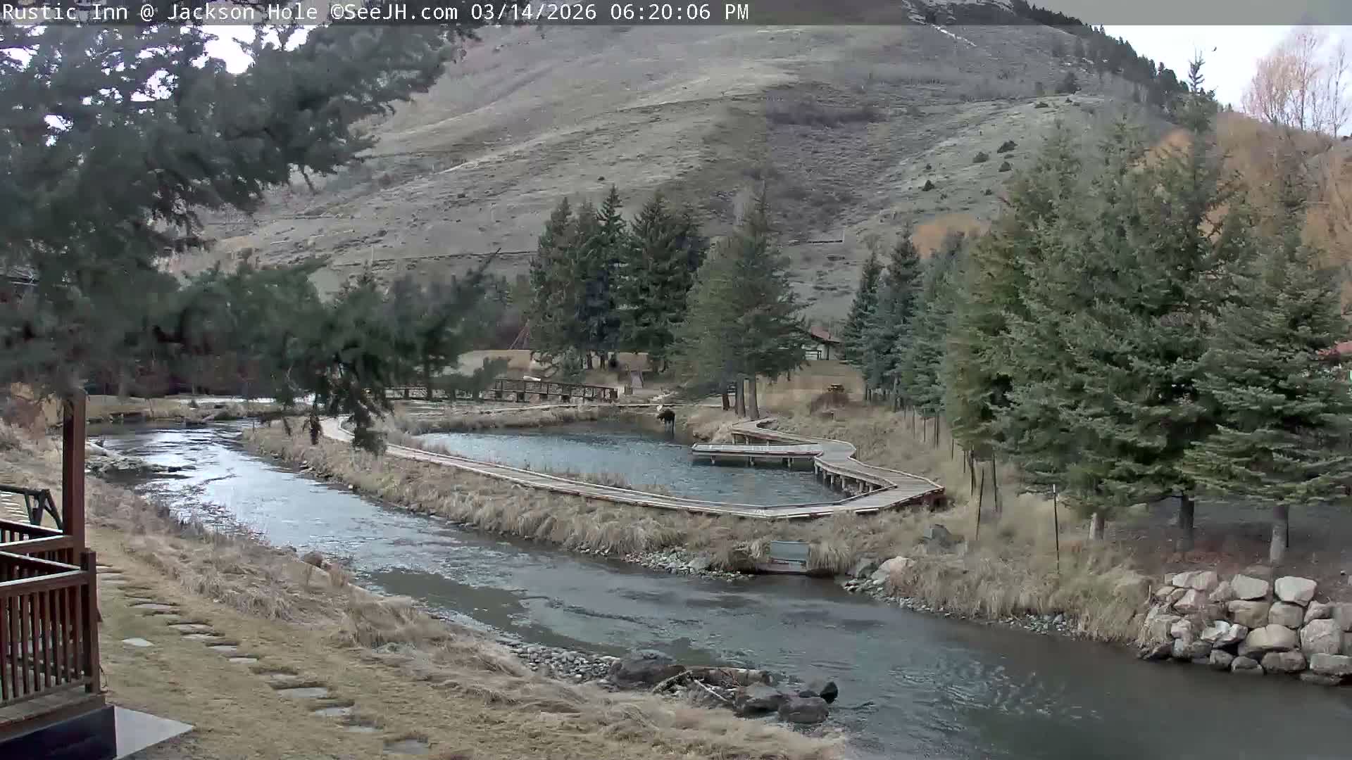Jackson Hole, Flat Creek from Rustic Inn Resort Live Cam - Jackson, Teton, Wyoming, USA