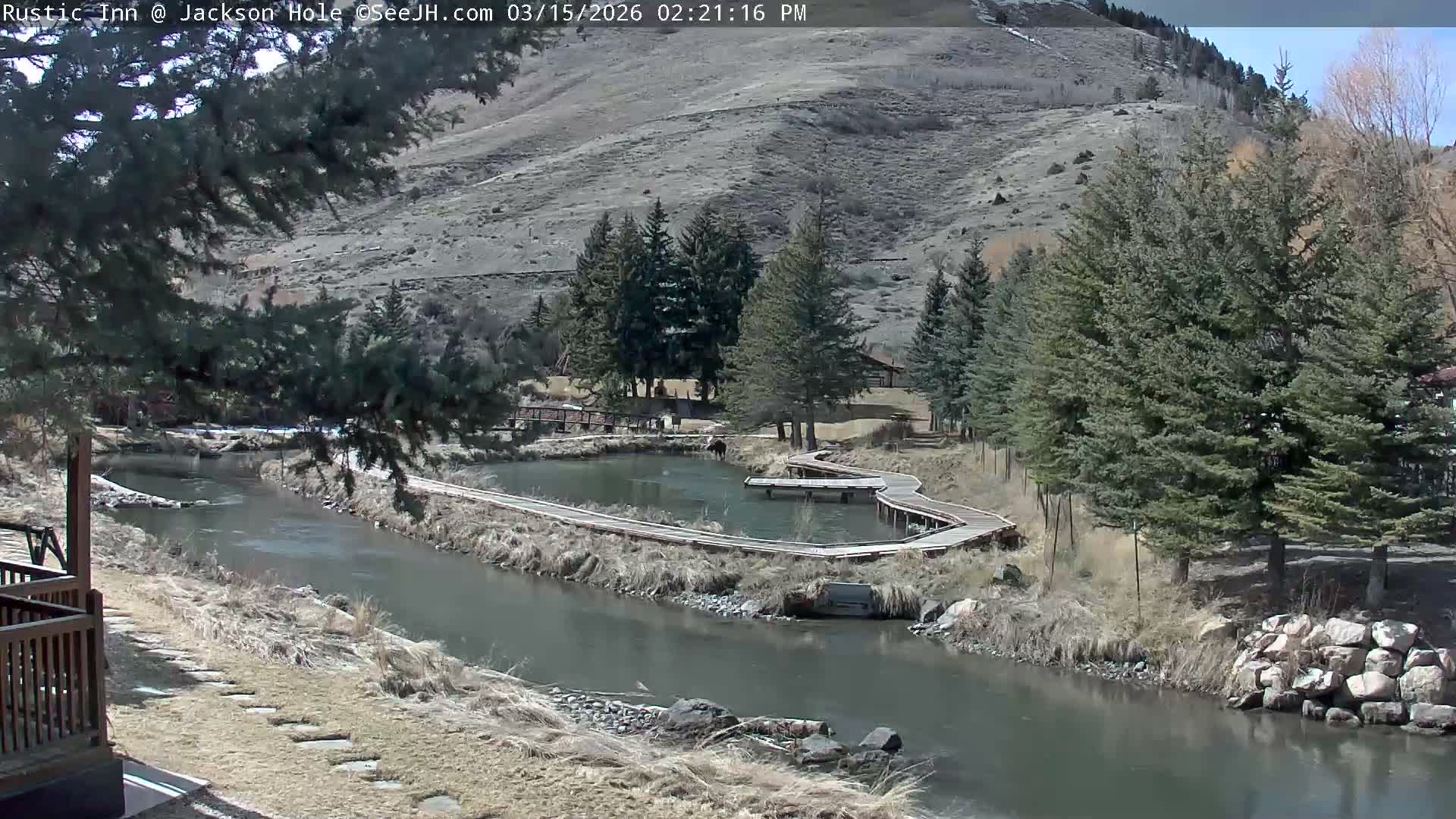 Jackson Hole, Flat Creek from Rustic Inn Resort Live Cam - Jackson, Teton, Wyoming, USA