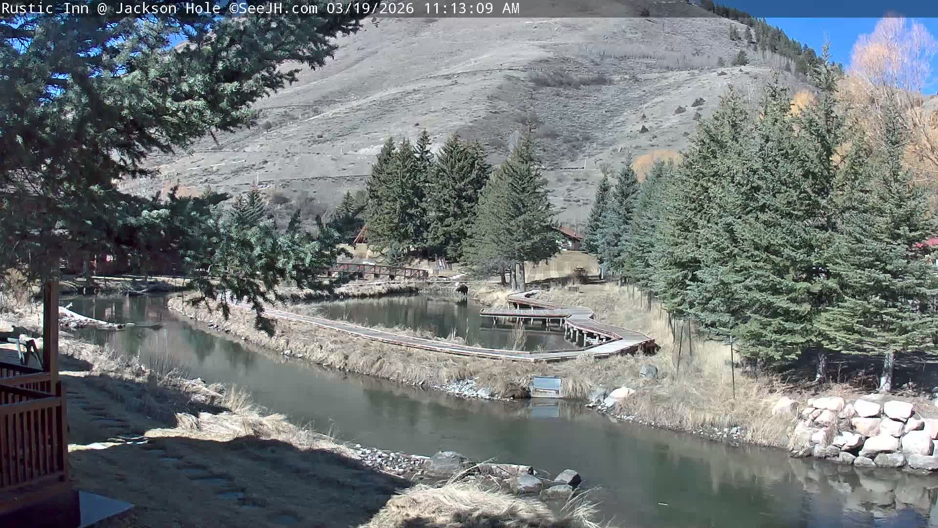 Jackson Hole, Flat Creek from Rustic Inn Resort Live Cam - Jackson, Teton, Wyoming, USA