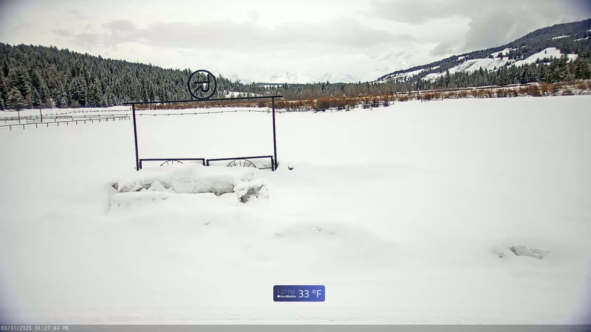 A snow-covered field with a metal gate and fence in the foreground, backed by a snow-dusted evergreen forest and distant mountains under a cloudy sky.