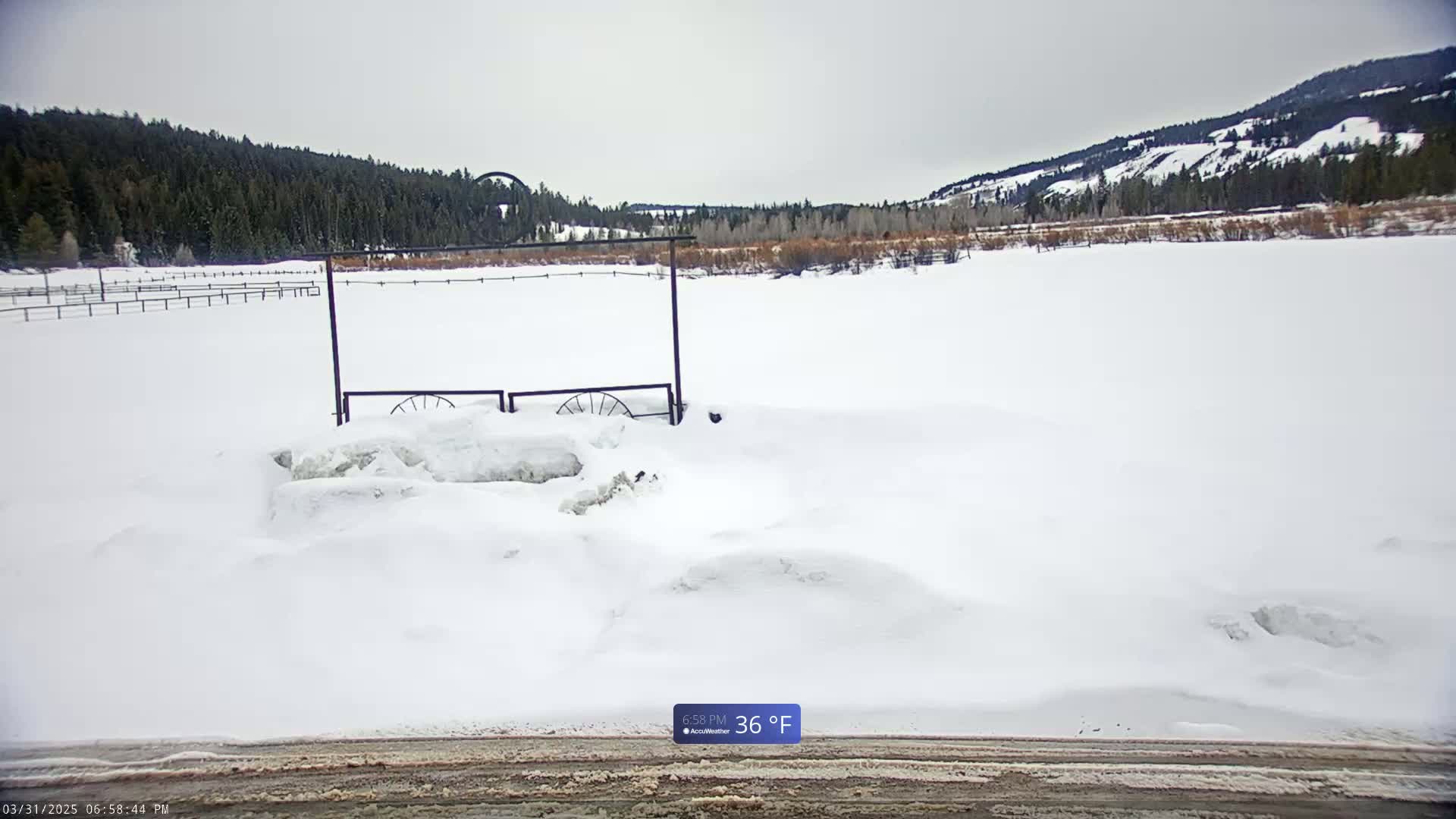 A snow-covered field with a metal gate and a distant line of evergreen trees under an overcast sky.