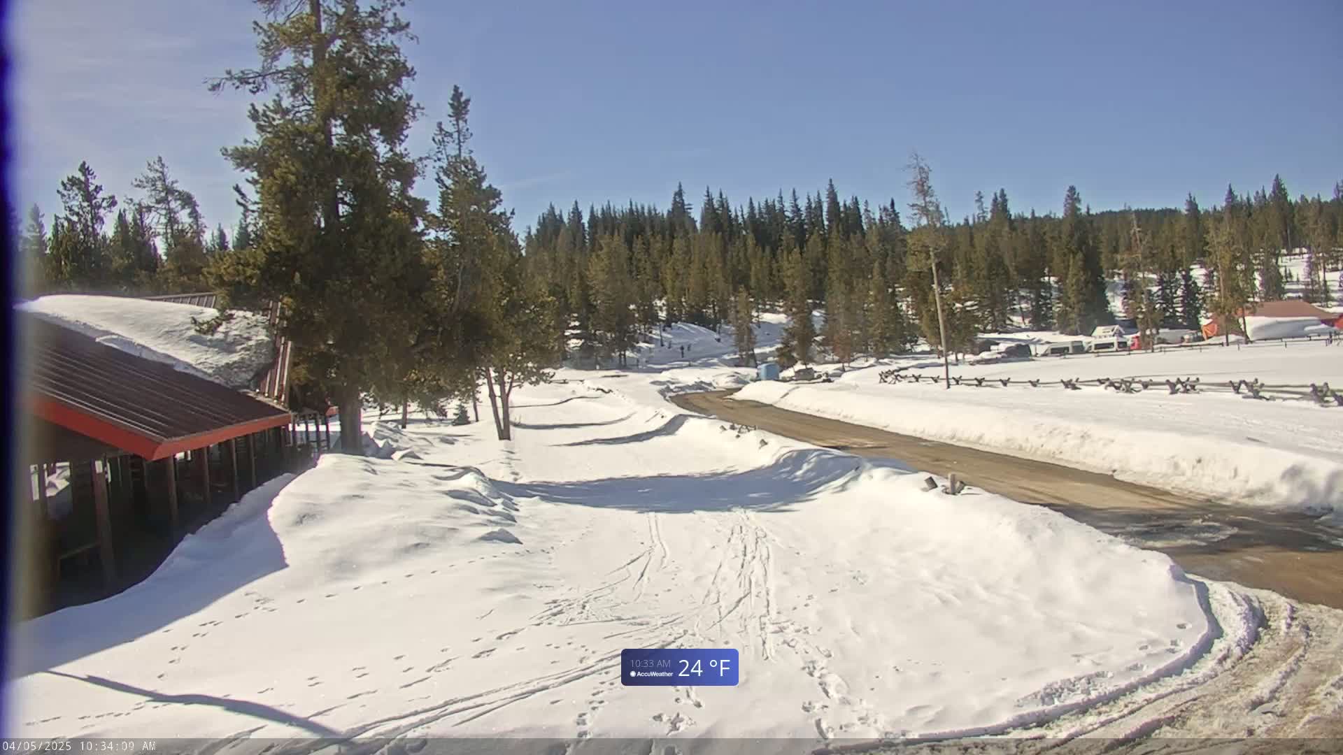 A snow-covered road winds through a pine forest on a sunny day.