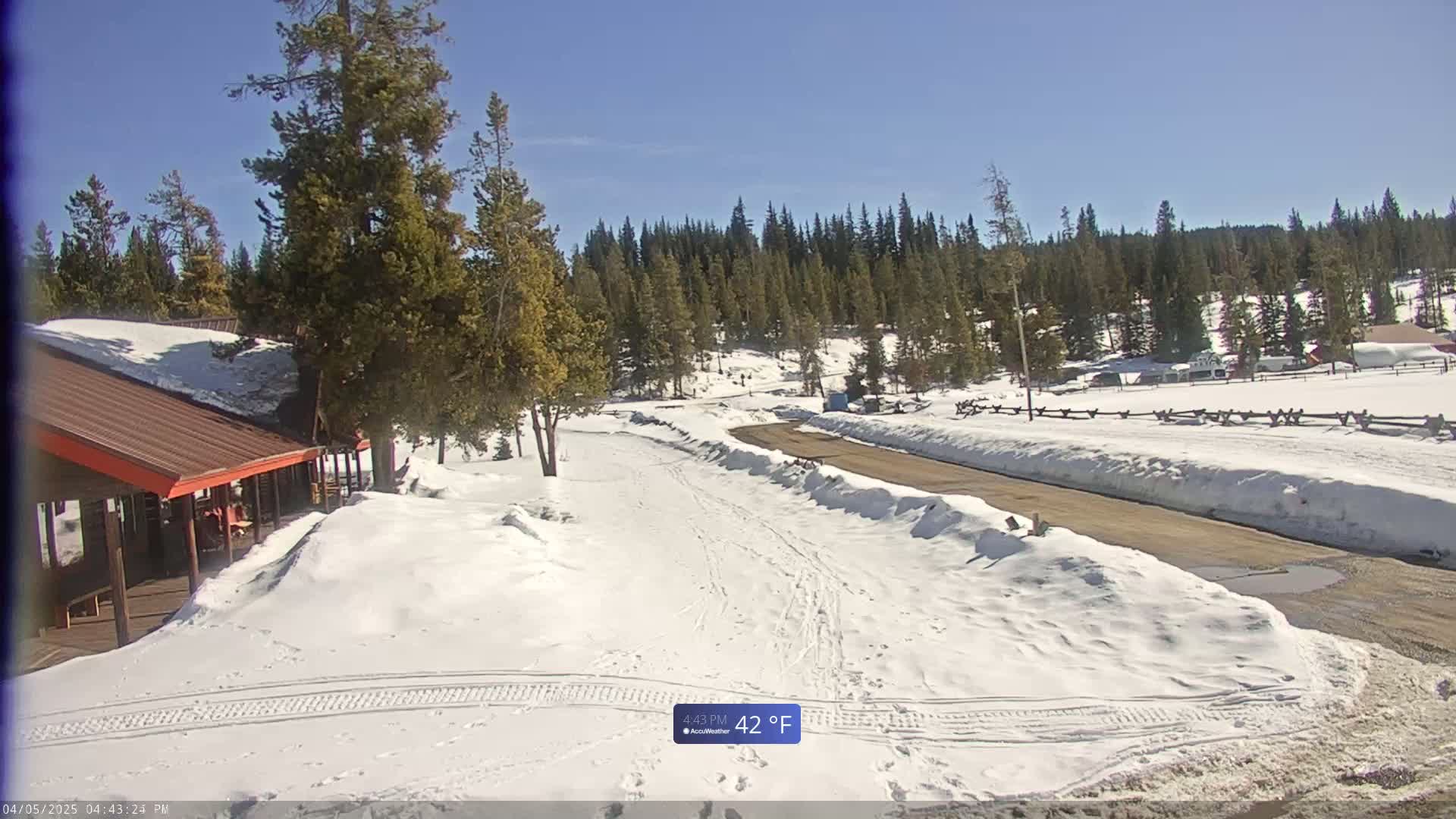 A snow-covered road winds through a pine forest on a sunny day, with a small building partially visible to the left.