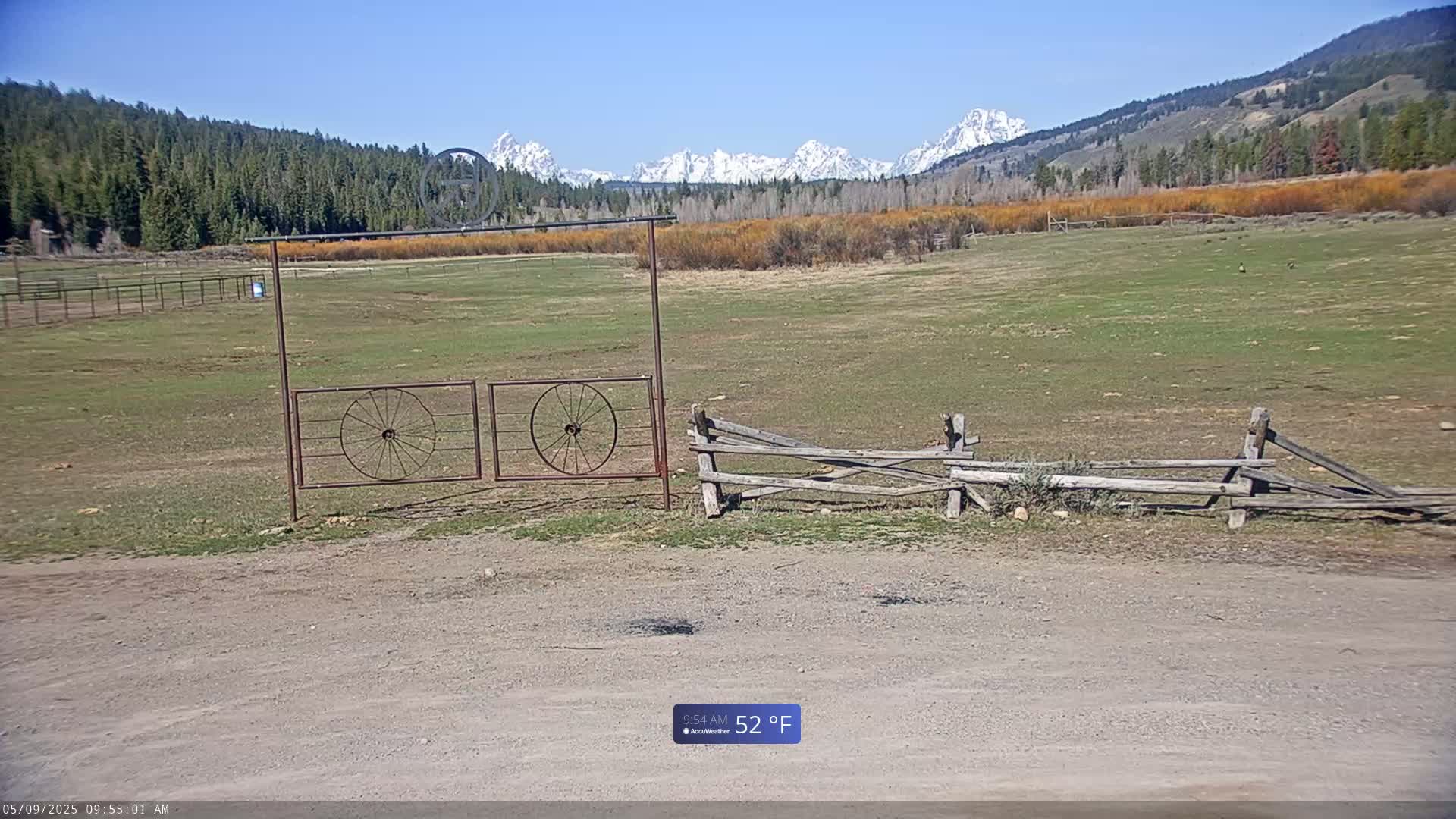 A grassy field with a split-rail fence and a gate featuring wagon wheels, under a clear blue sky and snow-capped mountains in the background.