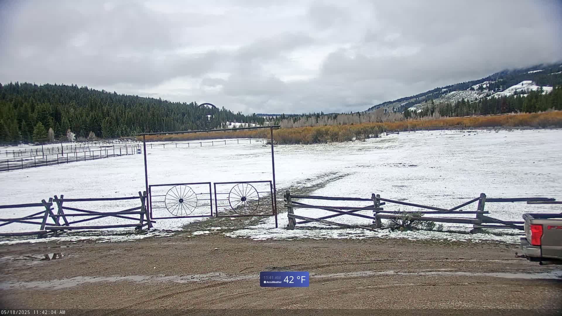 A snow-covered field is enclosed by wooden split-rail fences and a metal gate, with a background of evergreen trees and a cloudy sky.