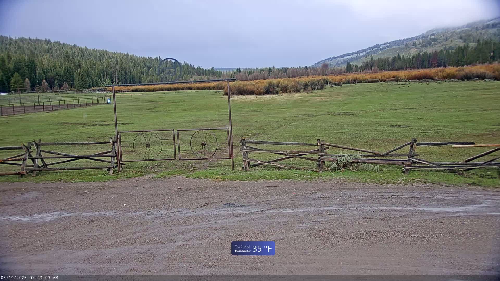 A grassy pasture with a split-rail fence and a metal gate is visible, under a cloudy sky.