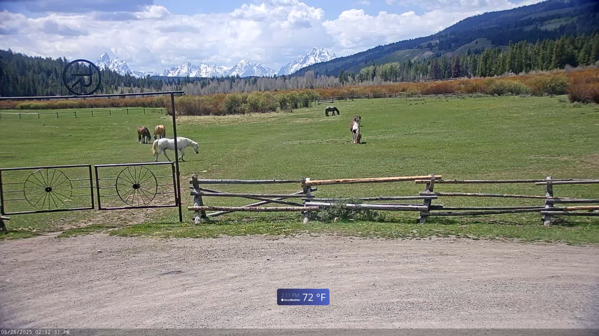 Turpin Meadow Ranch & Campground Live Cam - Moran, Teton, Wyoming, USA