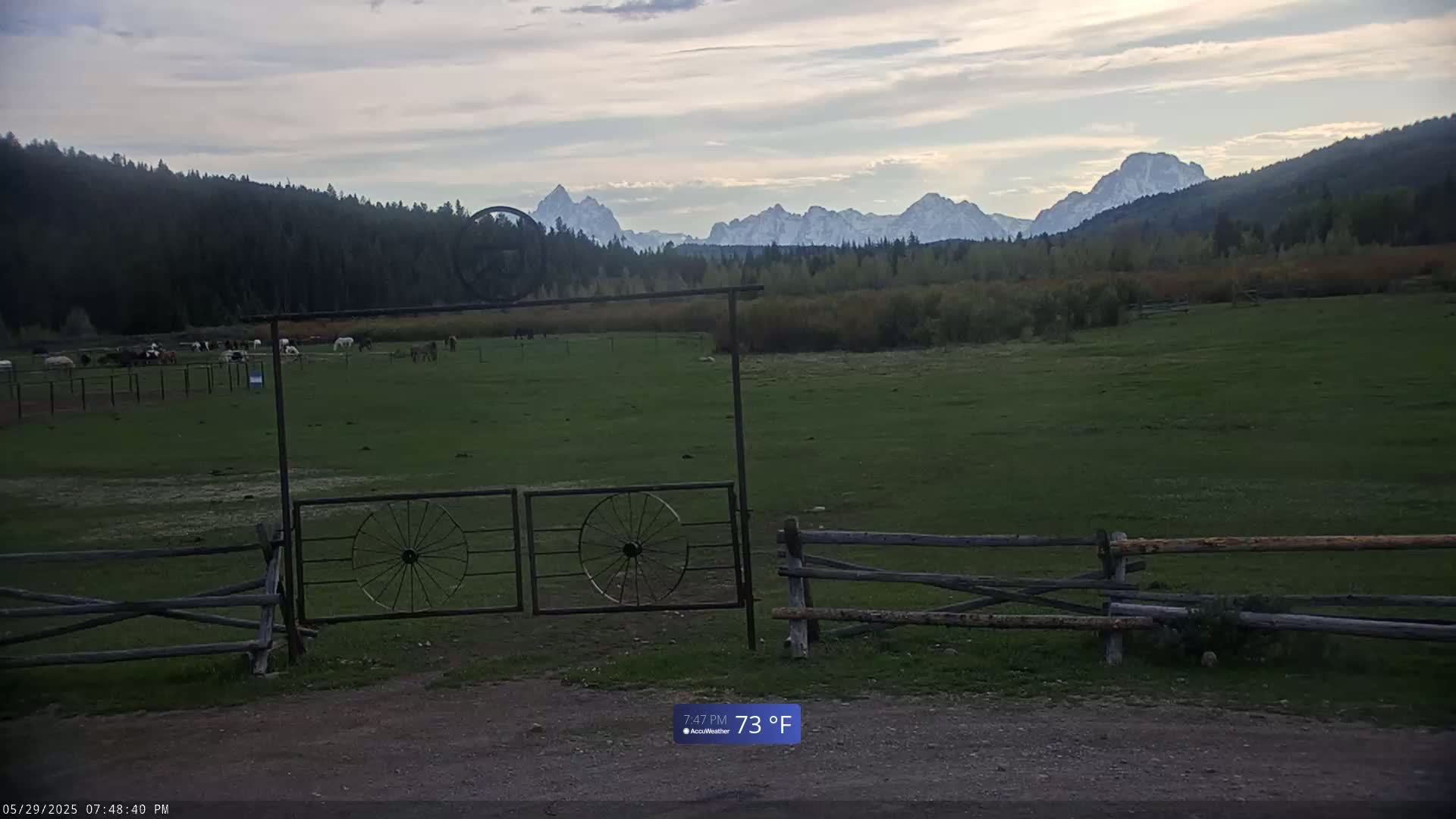A grassy pasture with horses and a wooden fence in front of a mountain range under a partly cloudy sky.