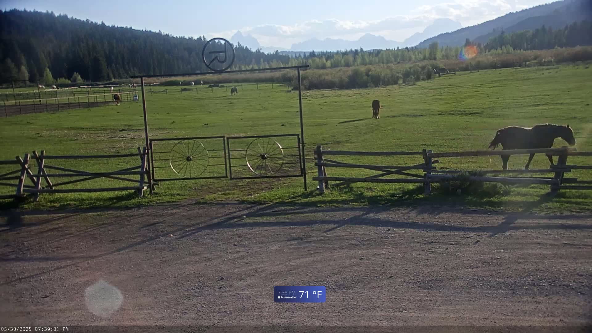Several horses graze in a green pasture behind a wooden fence and gate, with mountains in the background under a mostly clear sky.