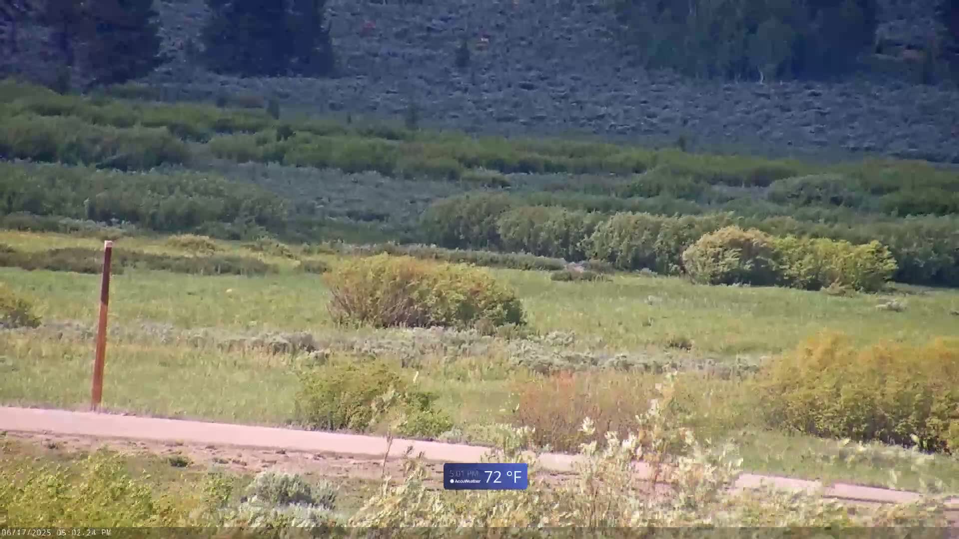 Turpin Meadow Ranch & Campground Live Cam - Moran, Teton, Wyoming, USA