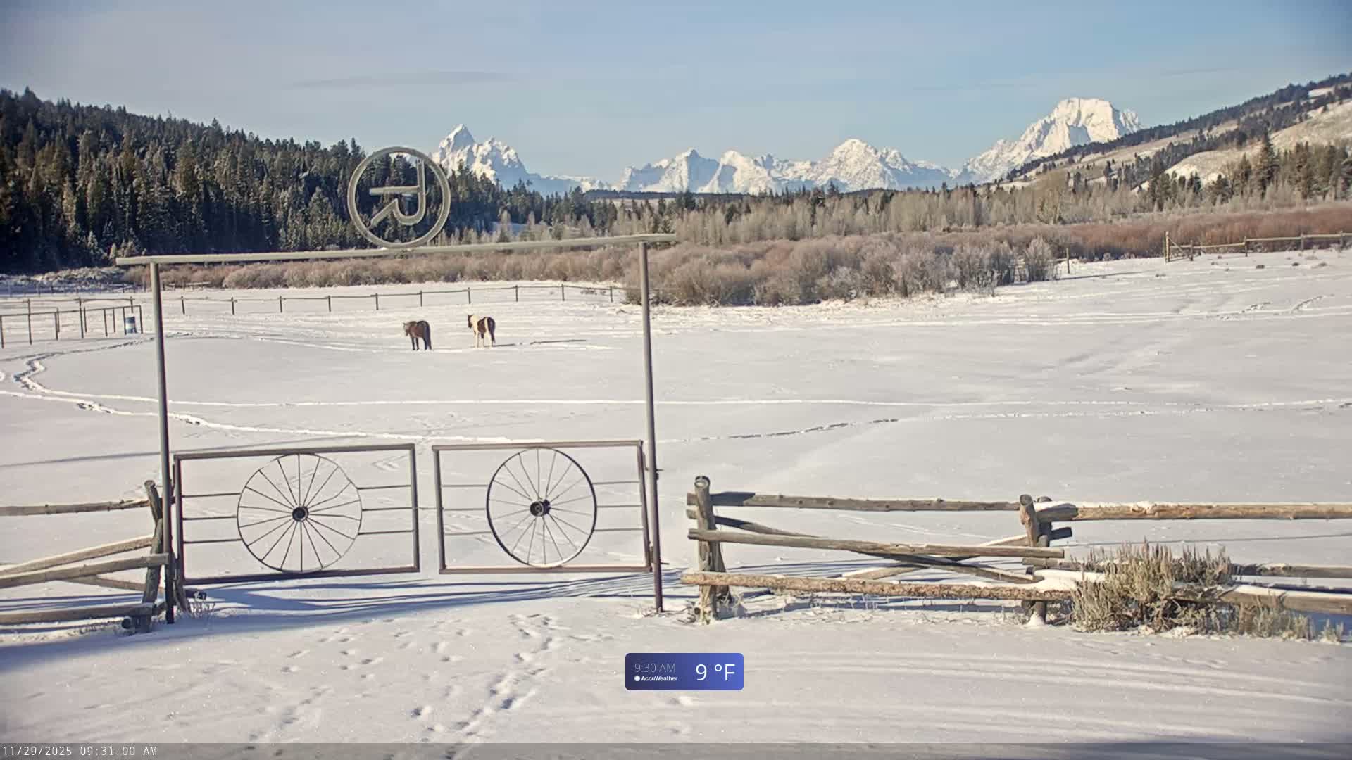 Turpin Meadow Ranch & Campground Live Cam - Moran, Teton, Wyoming, USA