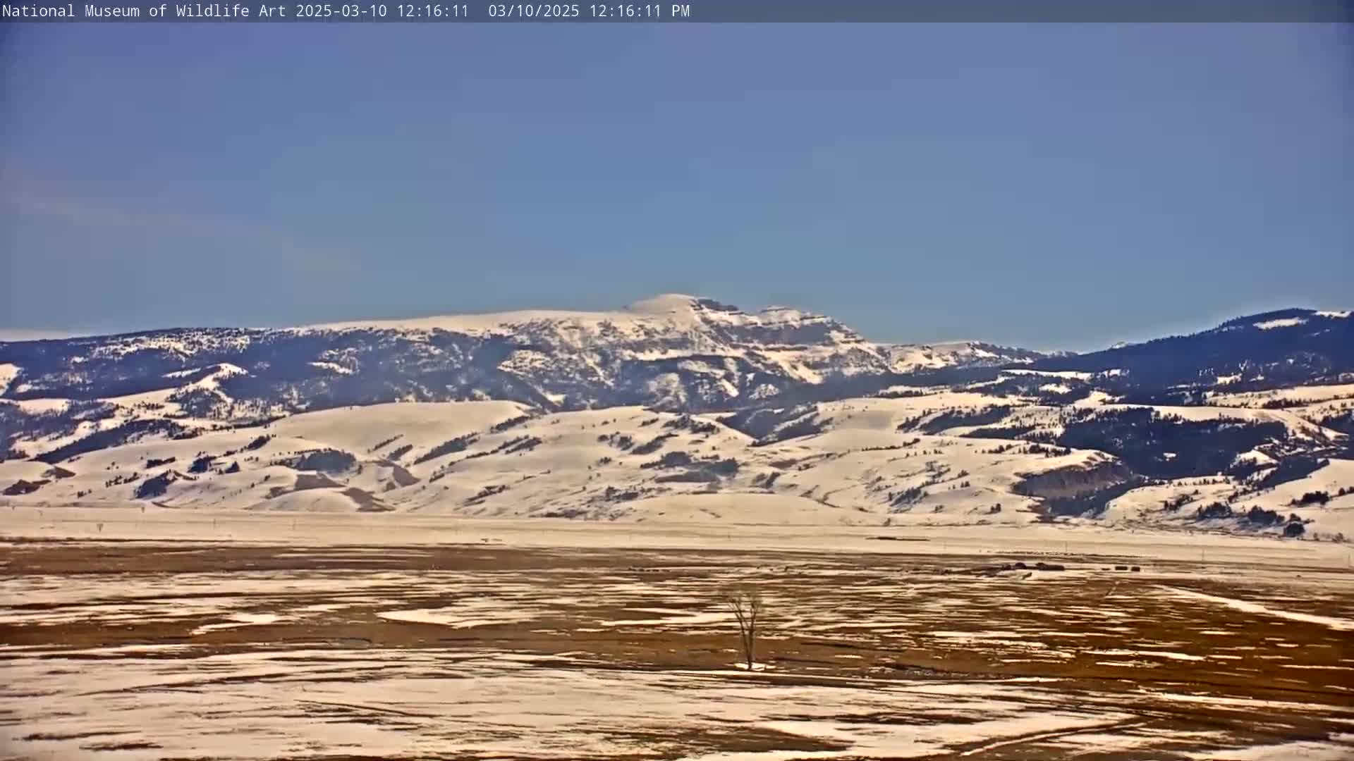 A snow-covered mountain range is visible in the distance under a clear blue sky, with a flat, partially snow-covered valley in the foreground.