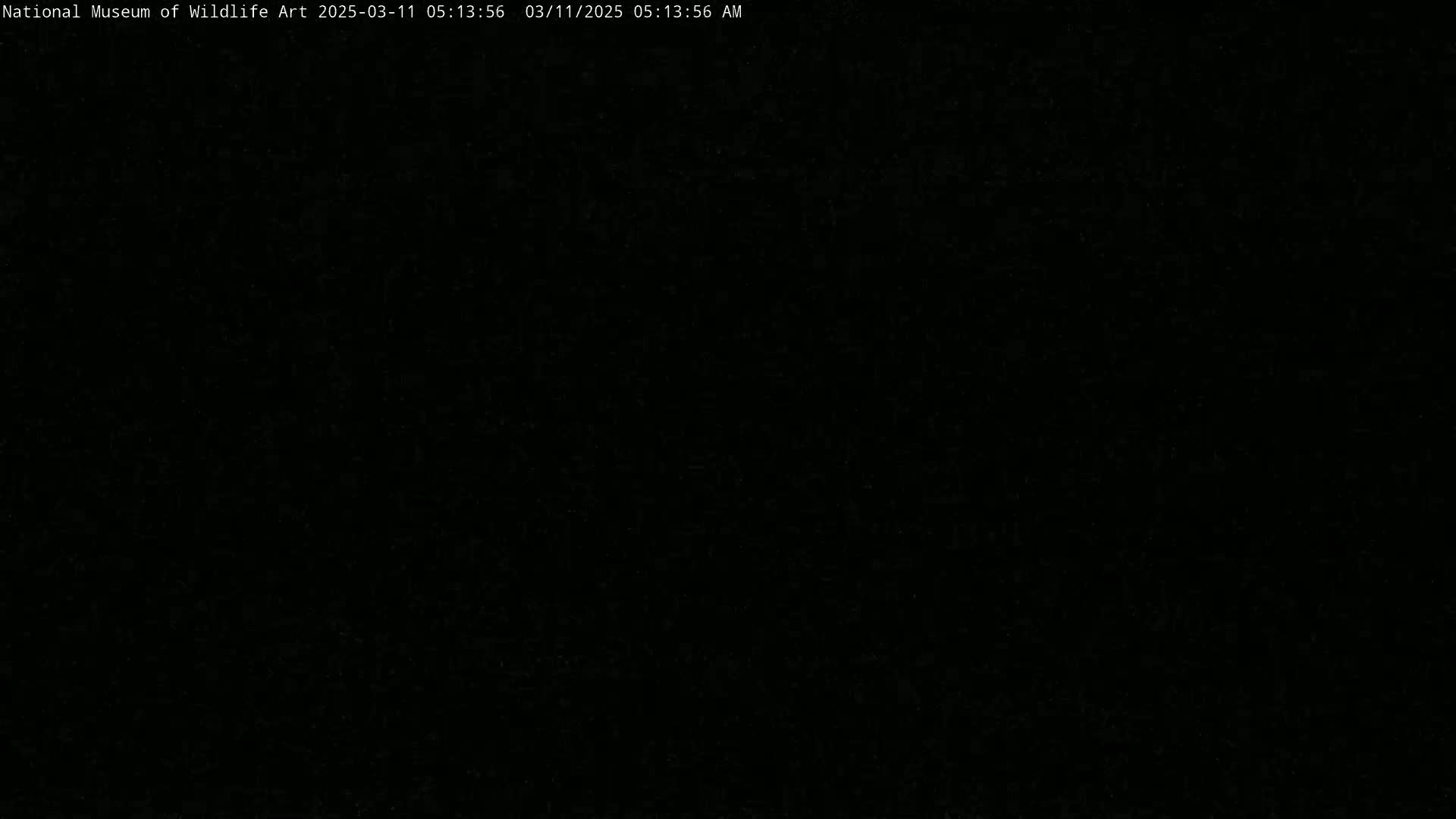 The image is completely black.