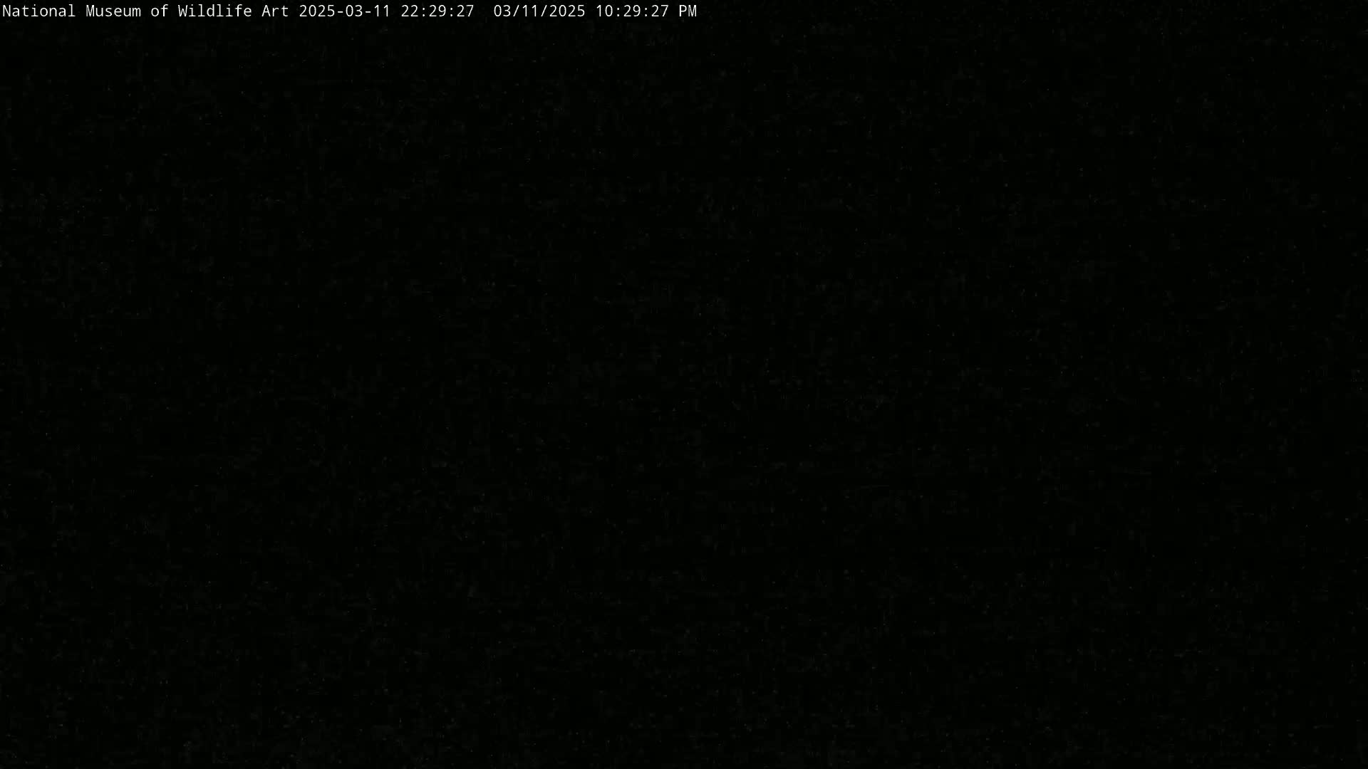 The image is a completely black screen.