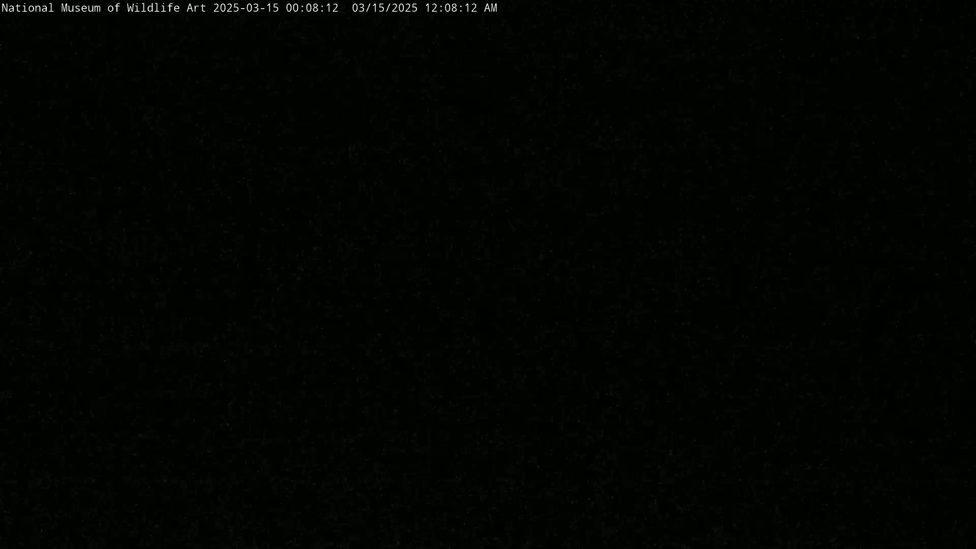 The image is a completely black screen with subtle noise.
