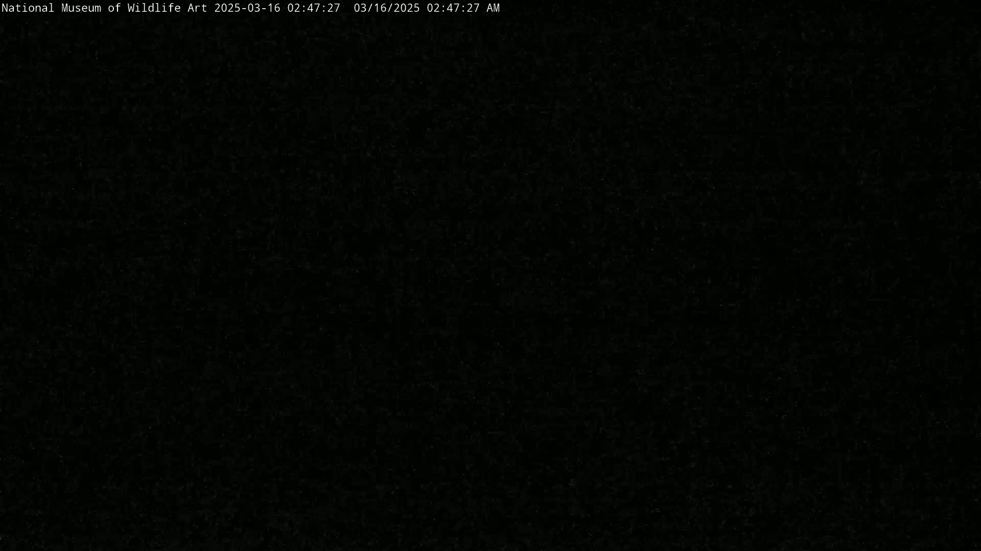 A completely black image.