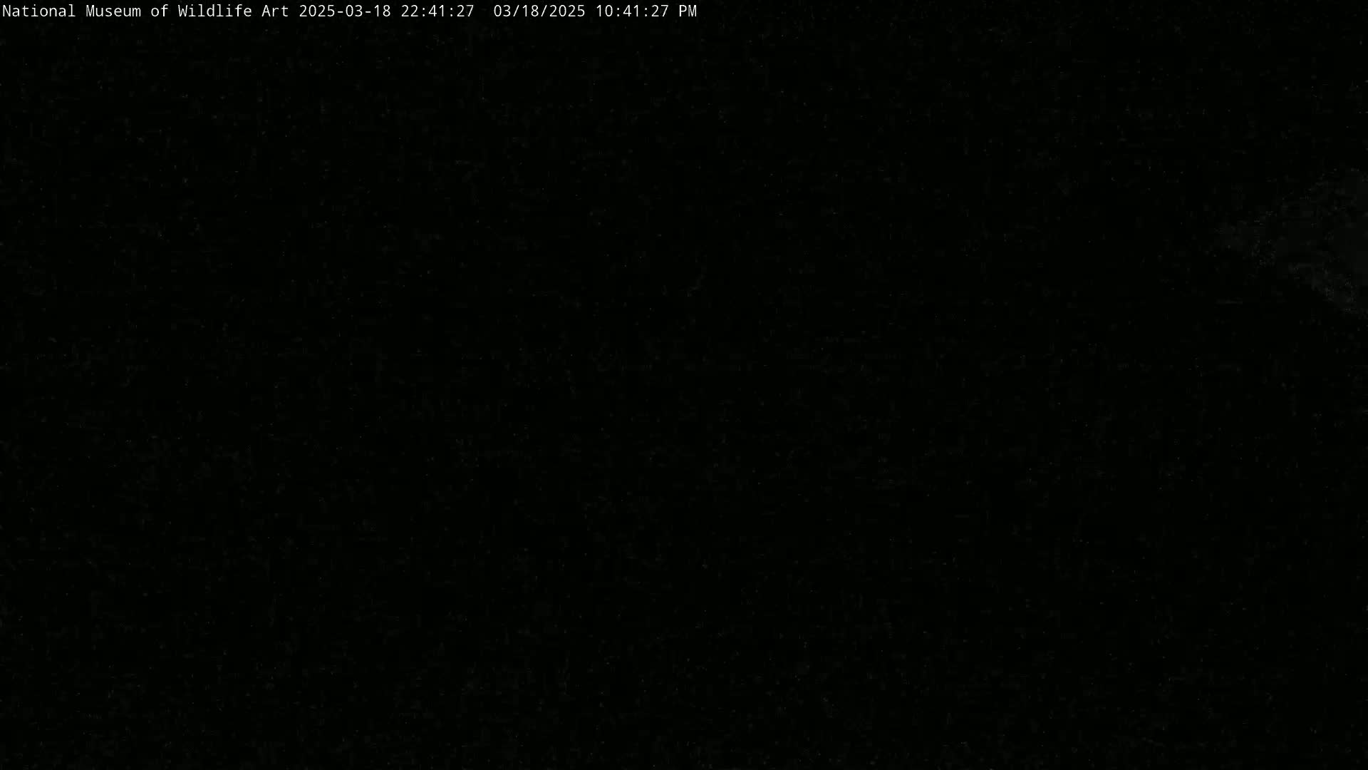 A completely black image is shown.