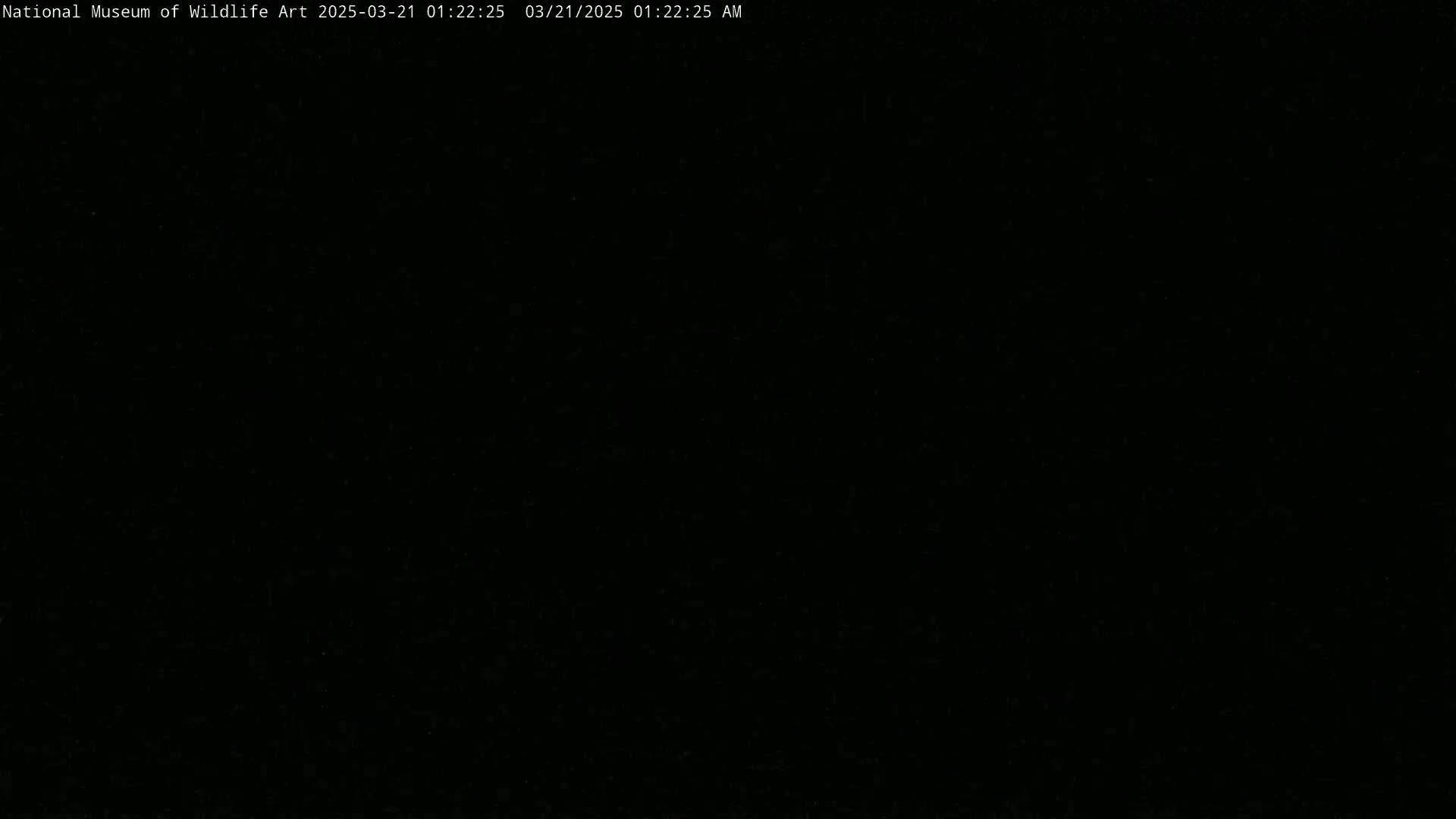The image is completely black.