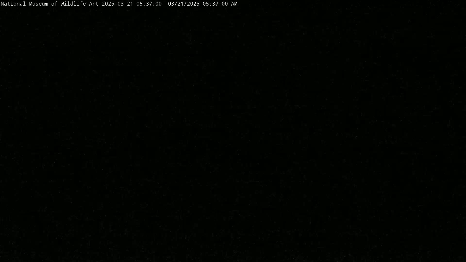 The image is entirely black.