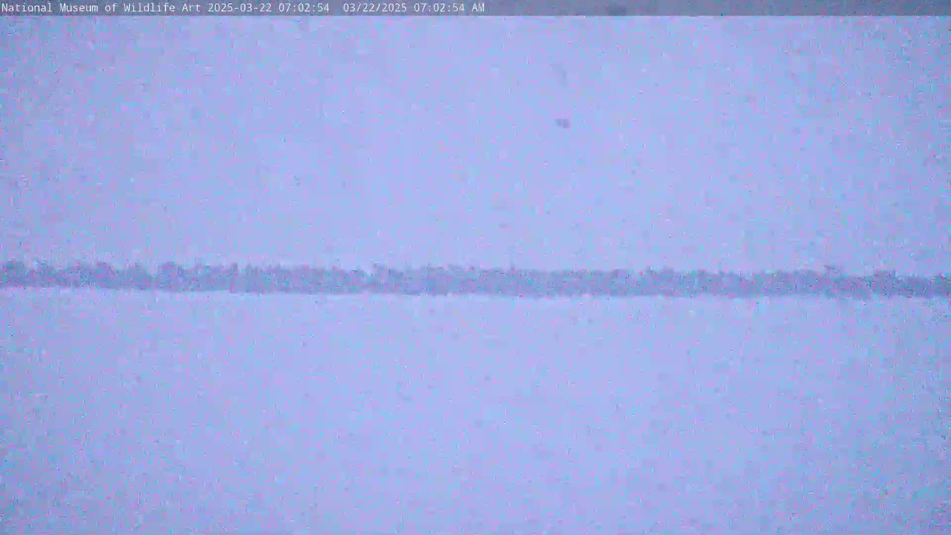 A low-lying line of trees is barely visible through heavy snowfall.
