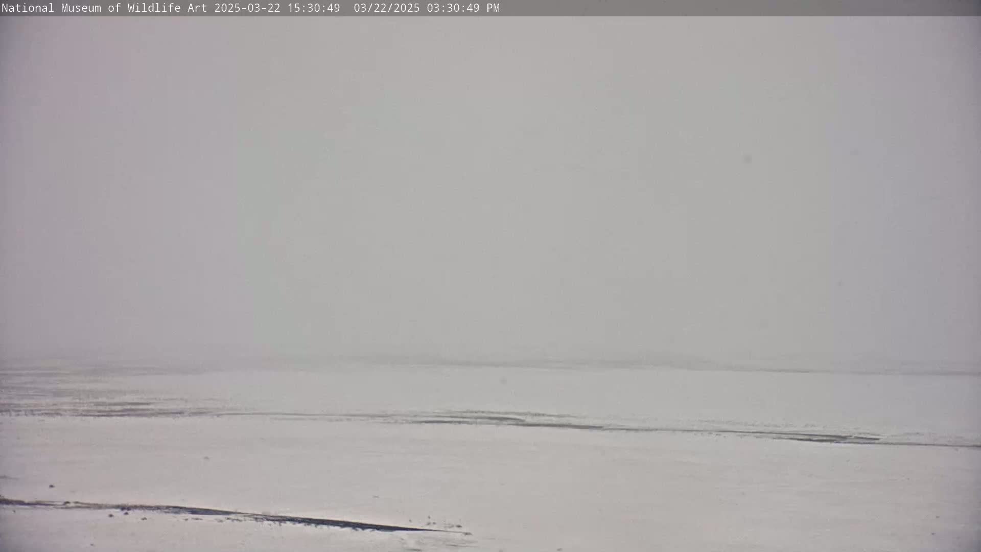 A snow-covered landscape stretches to a hazy horizon under a gray, overcast sky.