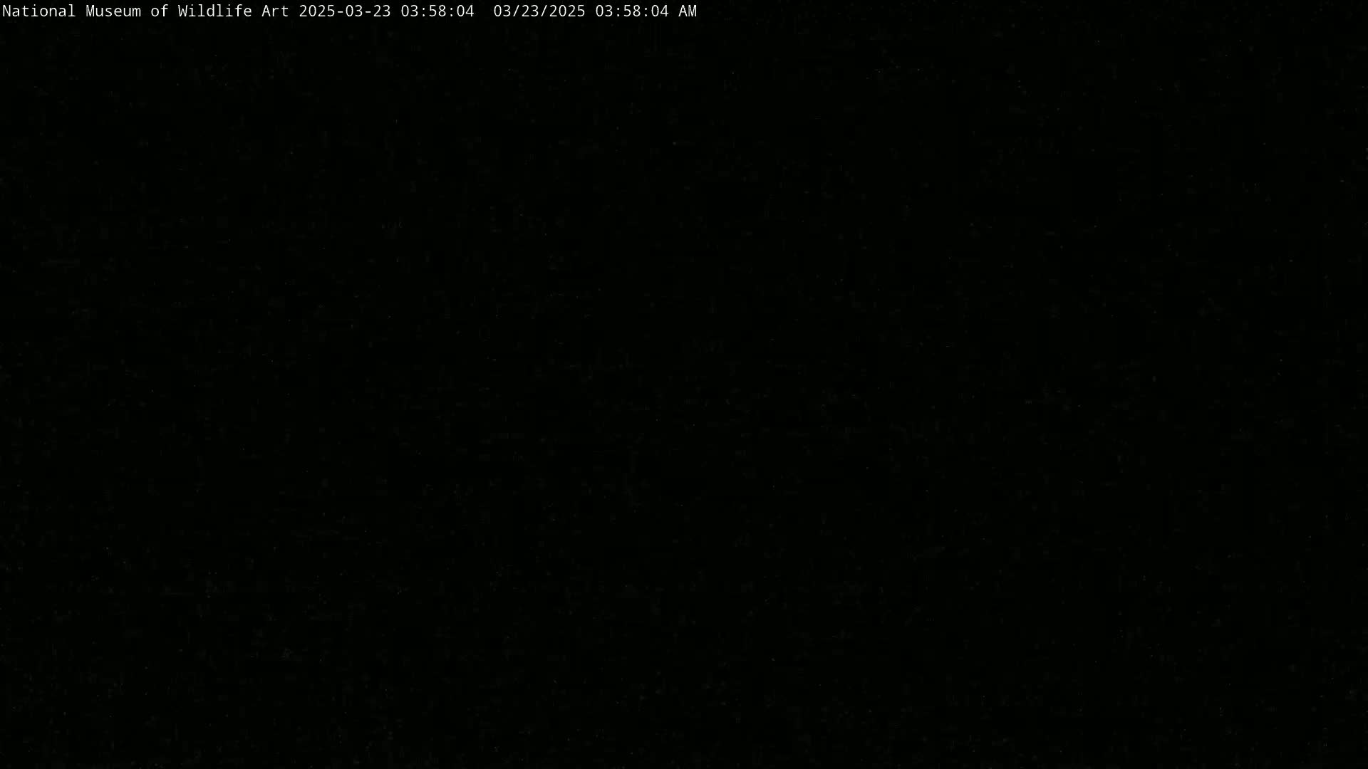 The image is completely black.
