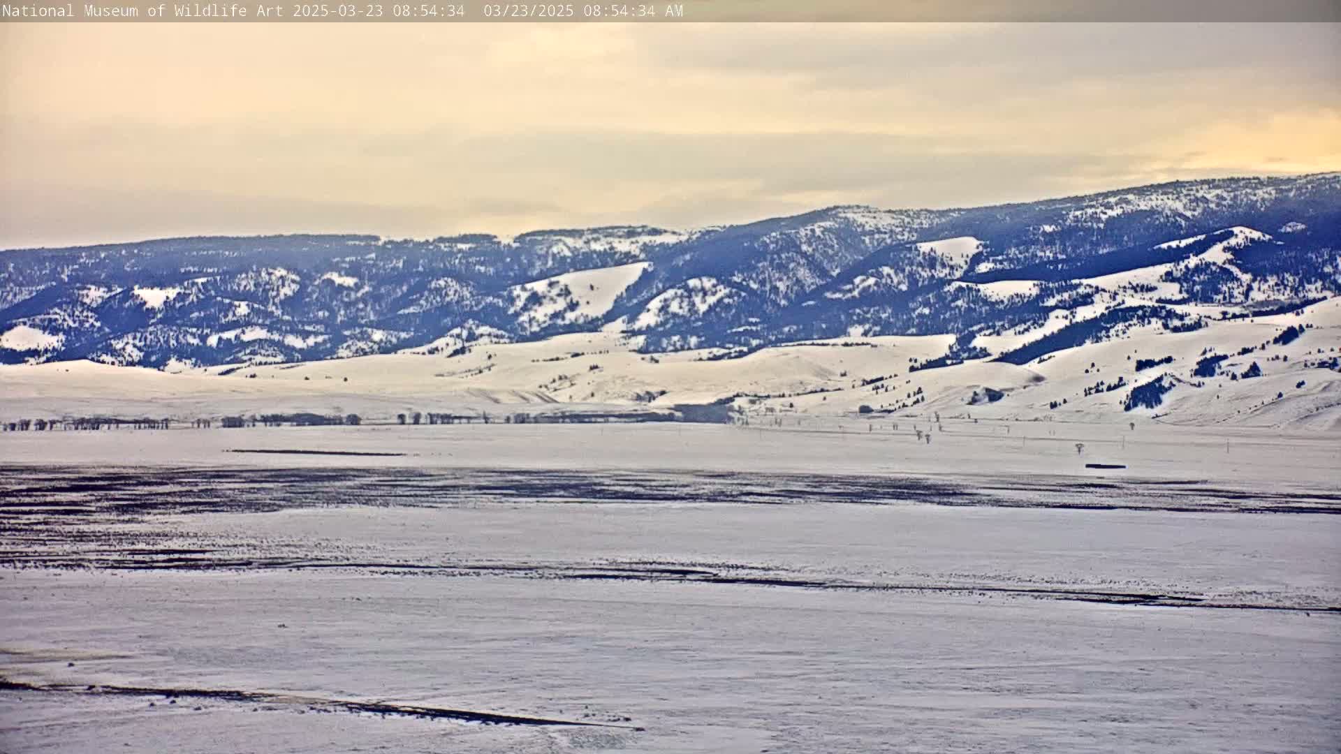 A snow-covered plain stretches to a range of snow-capped, forested mountains under a partly cloudy sky.