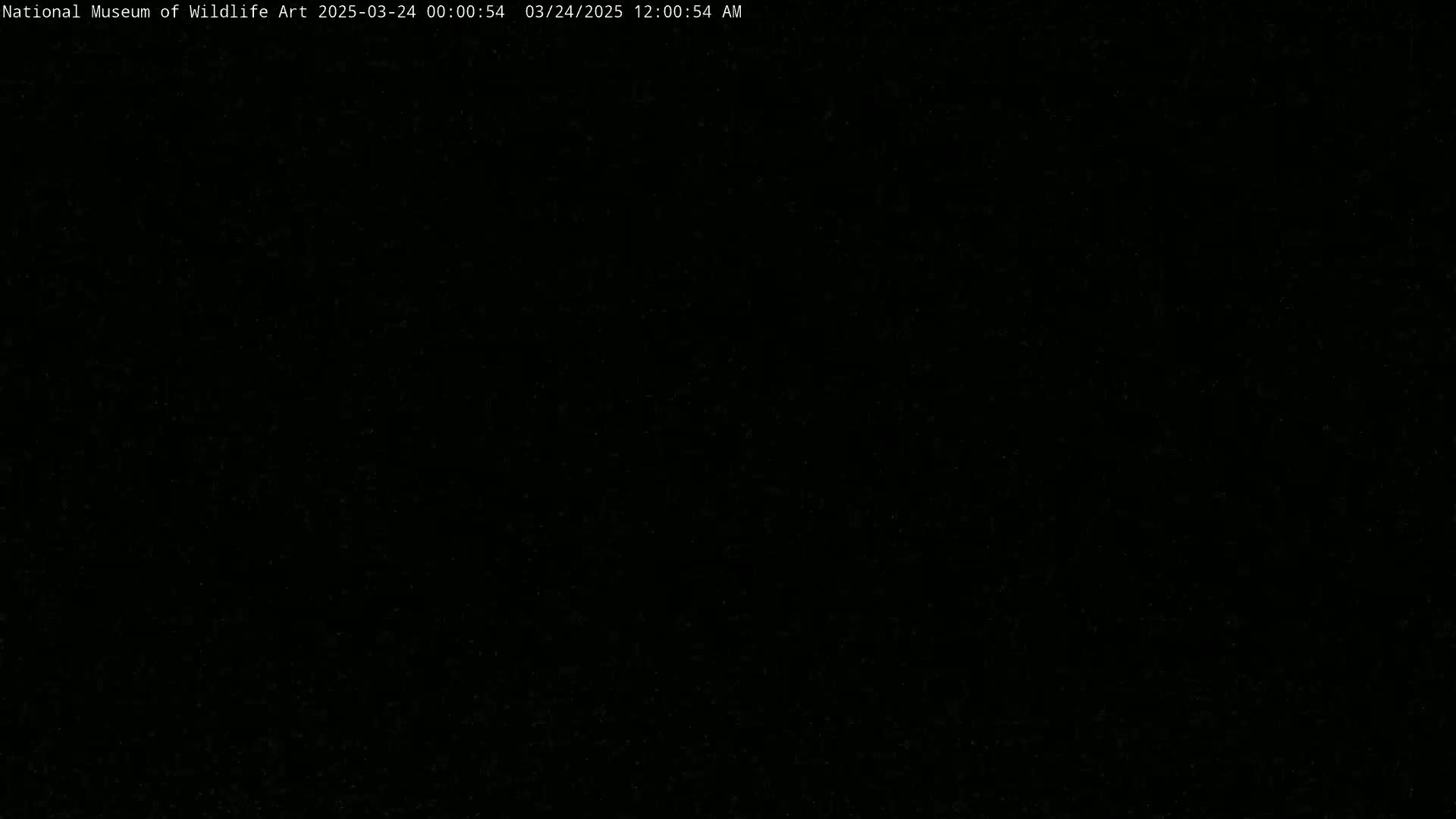 The image is completely black.