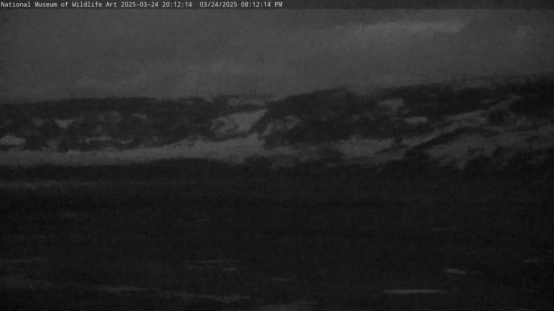 A nighttime, low-light image shows dark land, possibly hills or a shoreline, under a cloudy sky.