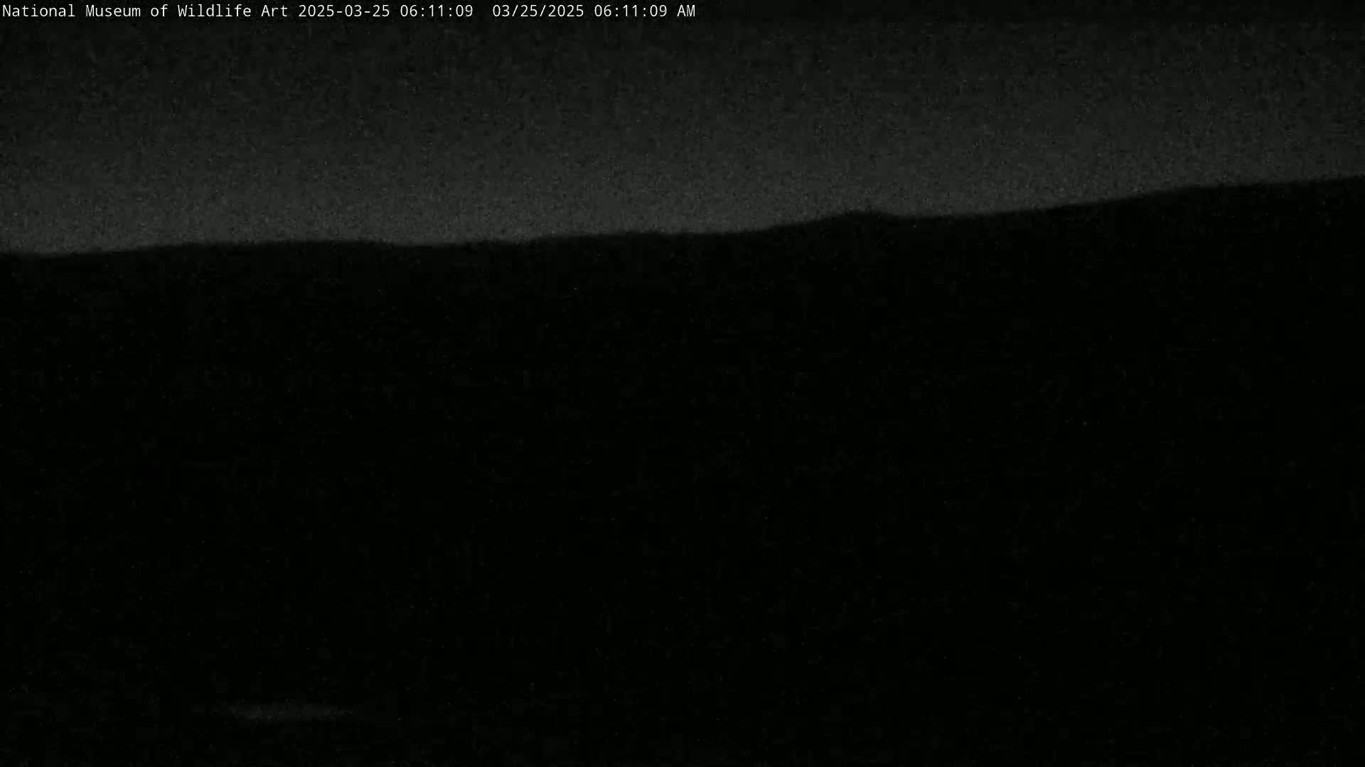 A dark, possibly pre-dawn, outdoor scene shows a barely visible horizon line against a mostly black sky.